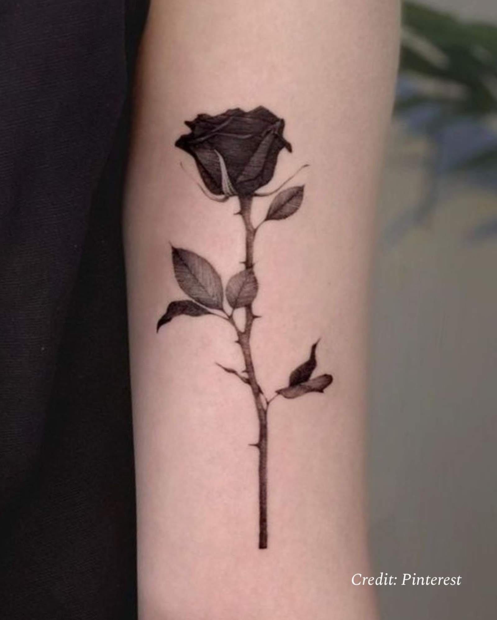 Rose Tattoo Meaning: Colors, Styles, and Symbolism Guide Rose Tattoo Meaning: Colors, Styles, and Symbolism Guide