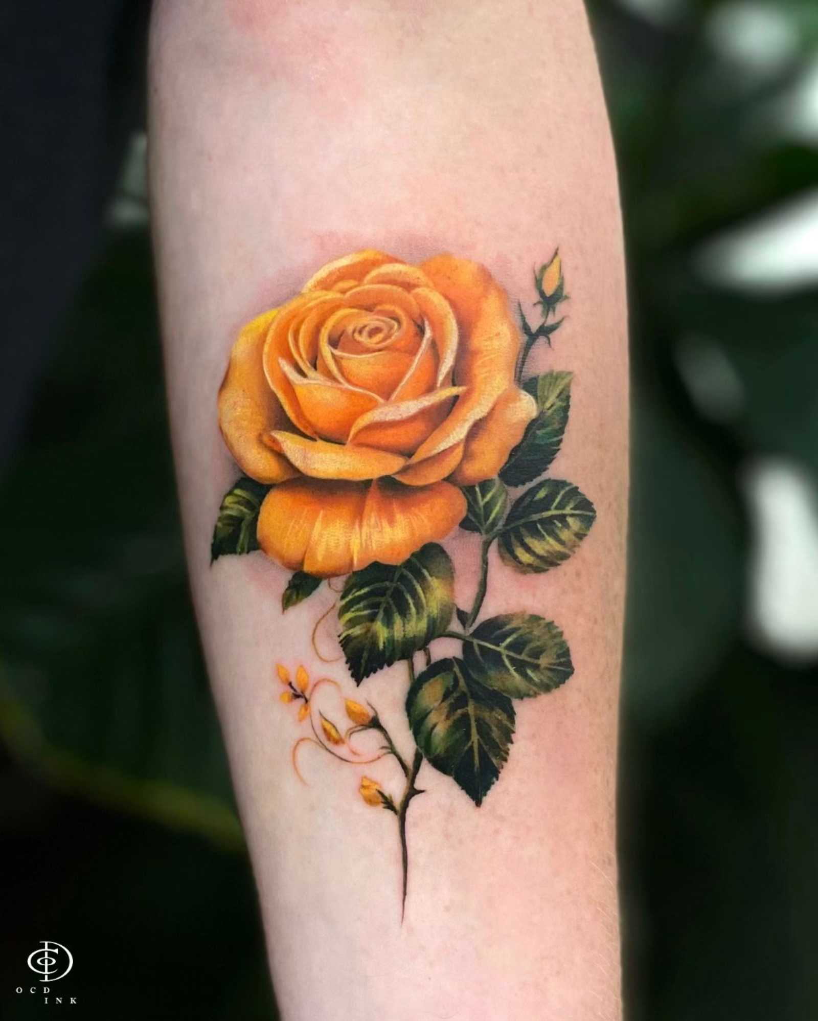 Flower Tattoo Meaning: Colors, Designs, and Symbolism Guide