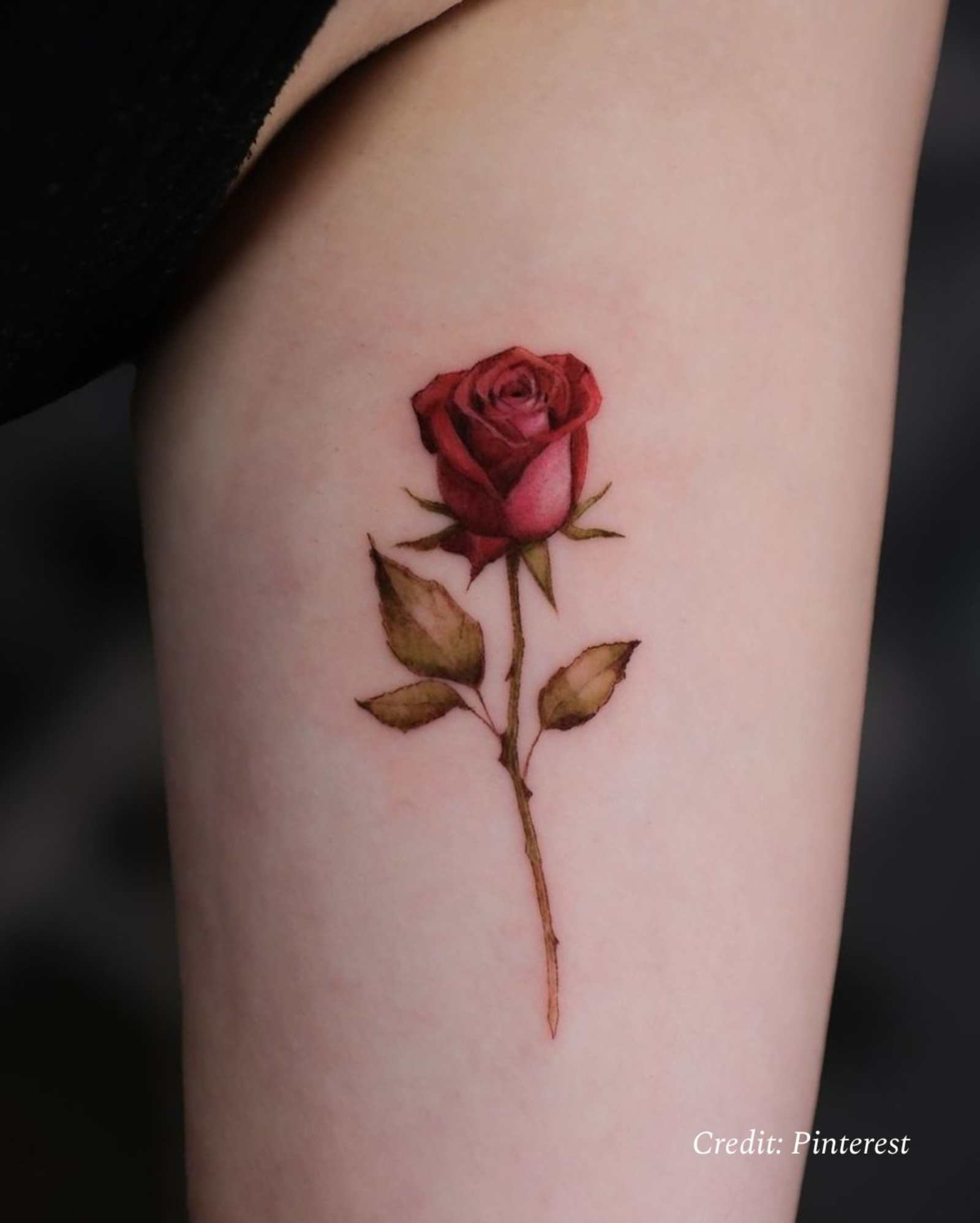 Rose Tattoo Meaning: Colors, Styles, and Symbolism Guide Rose Tattoo Meaning: Colors, Styles, and Symbolism Guide