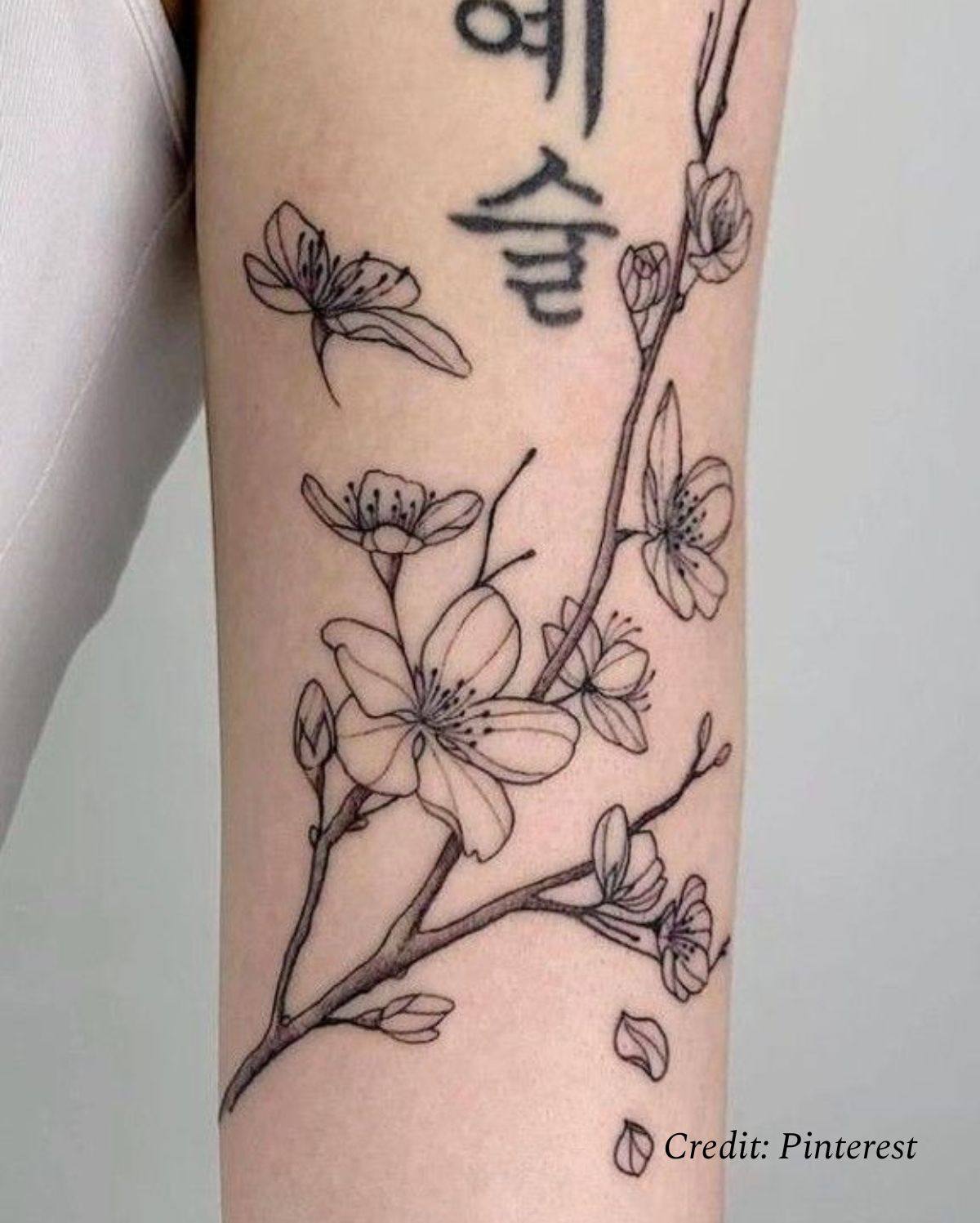 Cherry Blossom Meaning in Tattoo: Symbolism and Designs