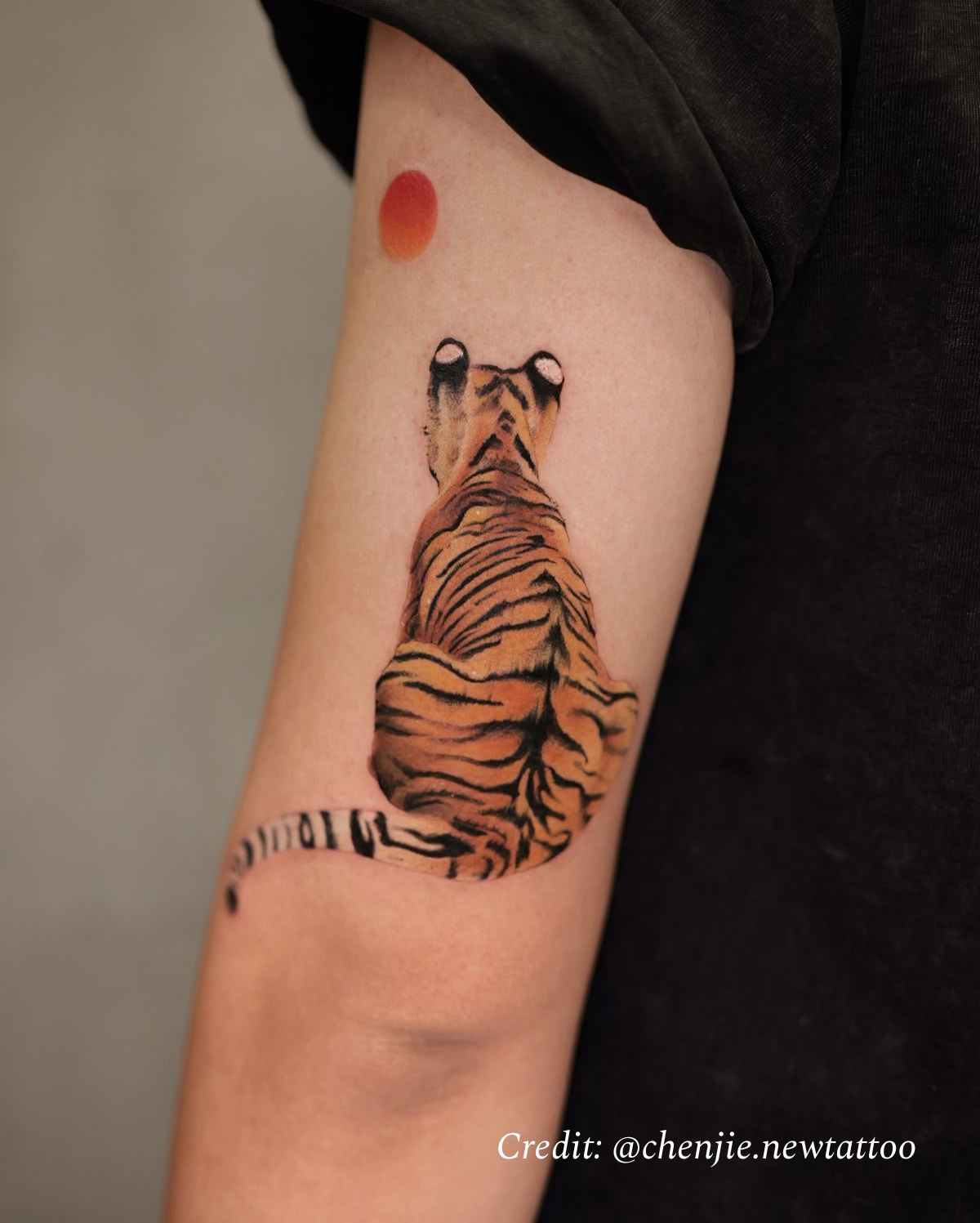 Tiger Tattoo Meaning: Symbolism, Styles, and Designs
