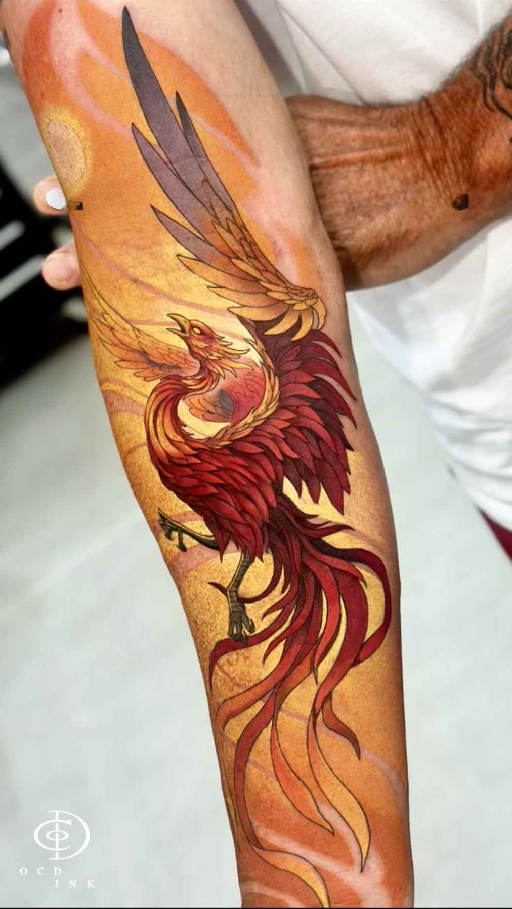 Phoenix tattoo on an arm phoenix tattoo