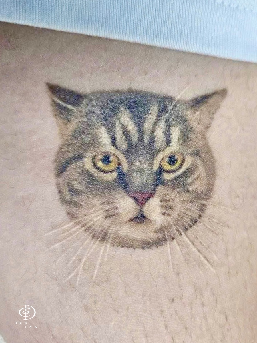 A healed color realistic cat portrait tattoo by OCD Ink Studio Hanoi