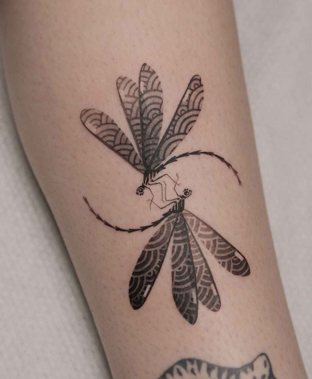 Dragonfly tattoo featuring two intertwined dragonflies with patterned wings and minimalist linework