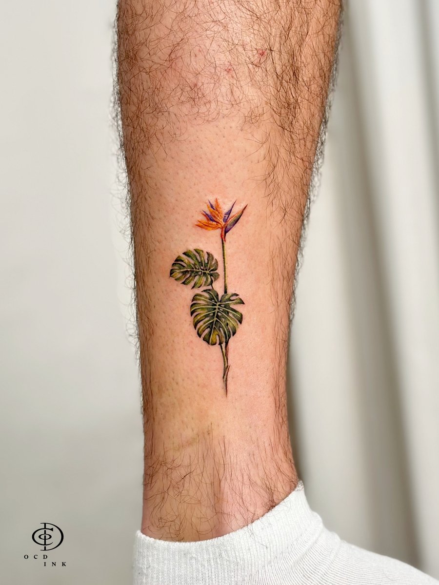 Minimalist color botanical tattoo featuring a Bird of Paradise flower and two Monstera leaves, rendered with realistic shading and vibrant natural colors on the lower leg.
