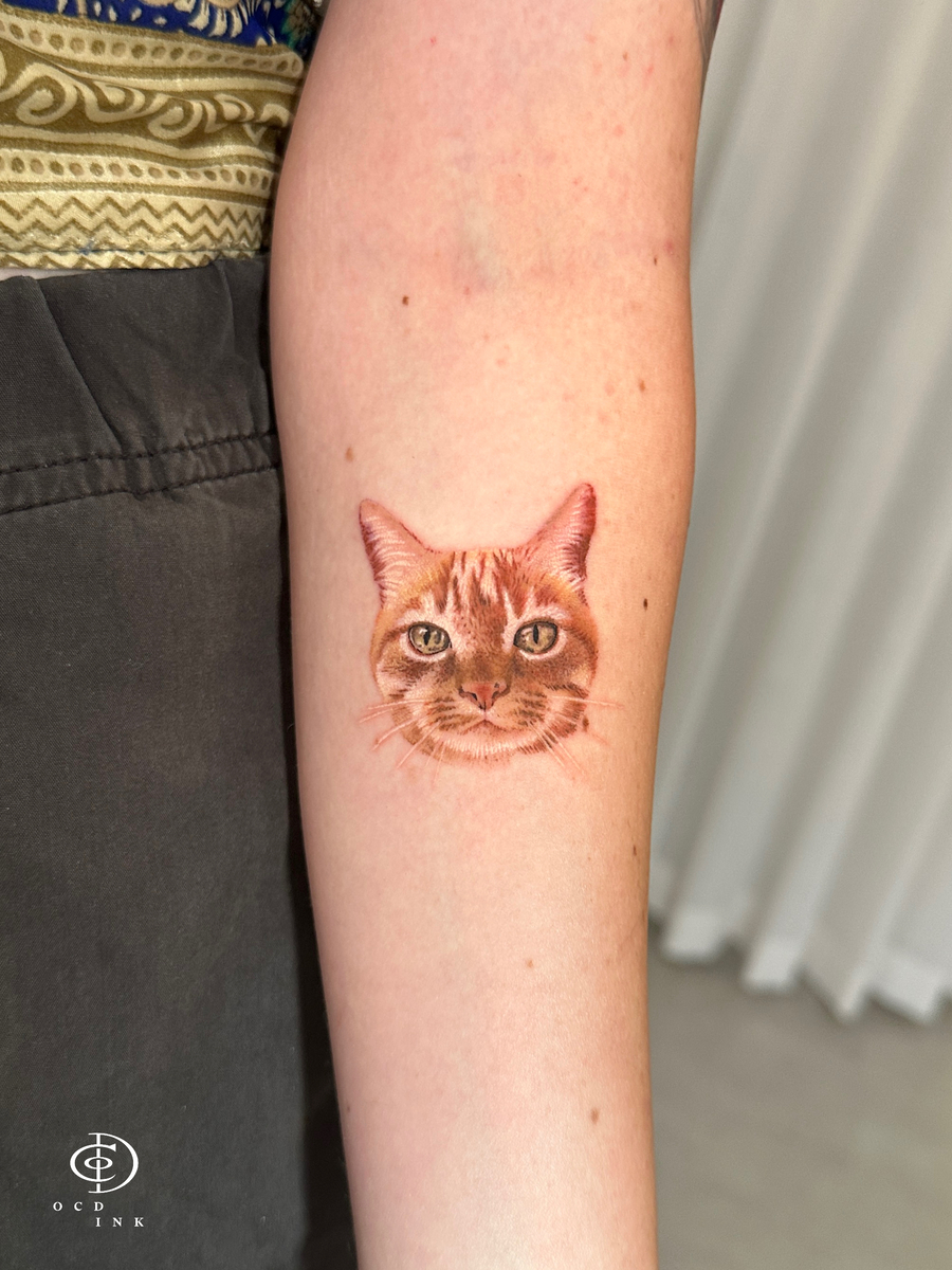 color realistic cat tattoo - OCD Ink Studio
