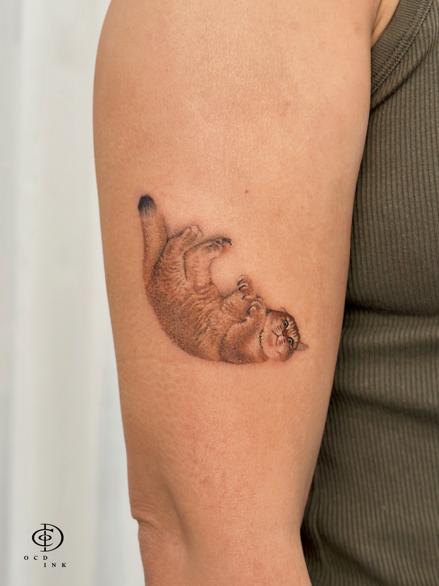 color realistic laying cat tattoo - OCD Ink Studio