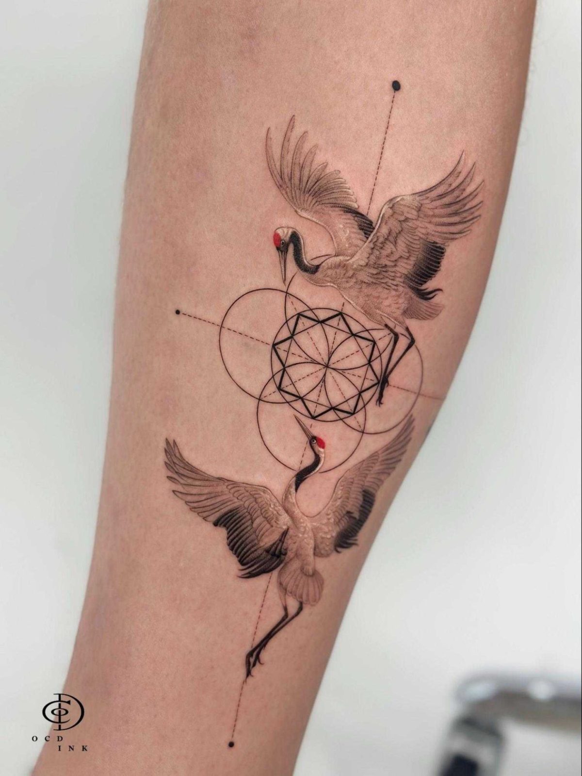 Graphic tattoo of two detailed cranes with spread wings surrounding overlapping circles and a central geometric desig
