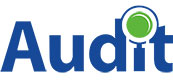 Thiet ke web logo audit