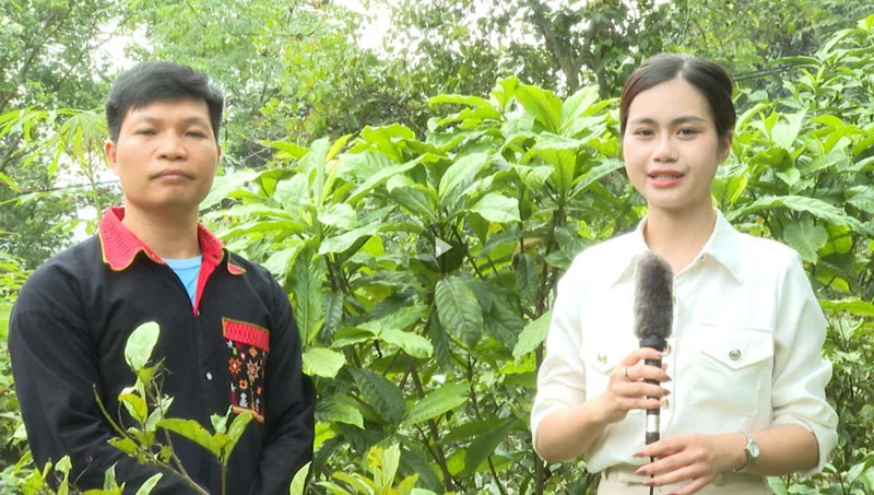 bao-chi-truyen-thong-noi-ve-luong-y-ly-sinh-trinh-3