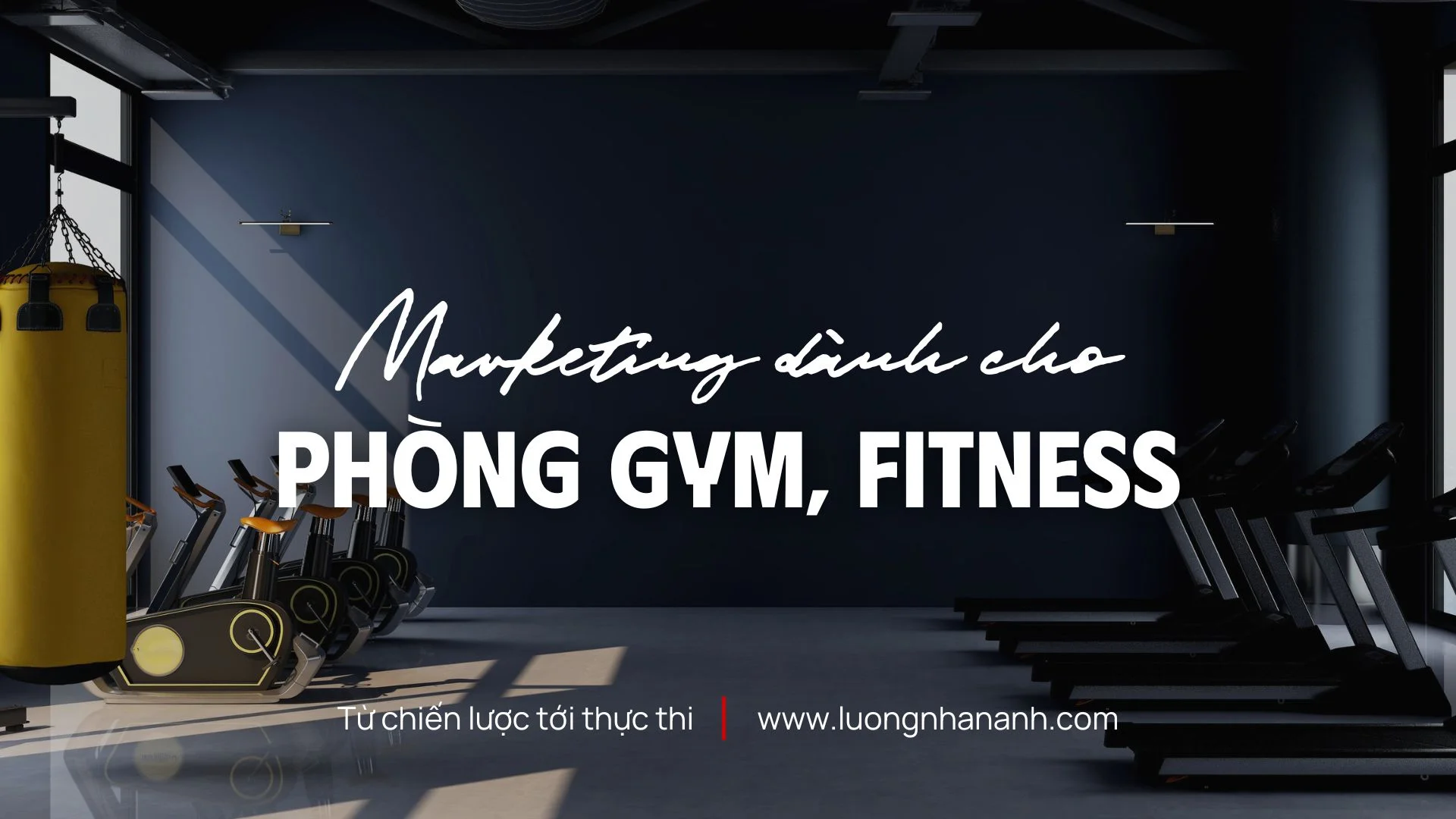 Case Study: Khởi Nghiệp Kinh Doanh Phòng Gym Từ Số 0 – Biến Đam Mê Thành Lợi Nhuận
