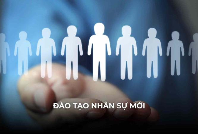 dao tao nhan su moi