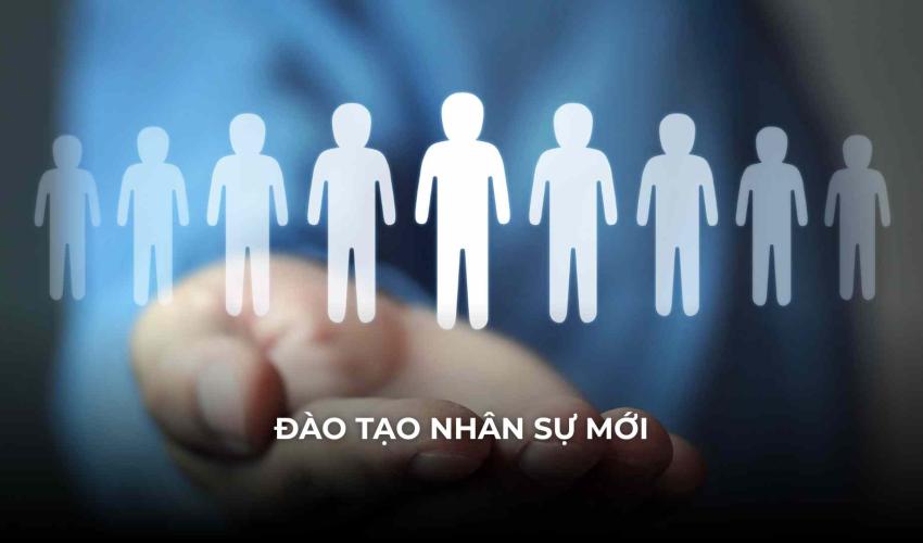 dao tao nhan su moi