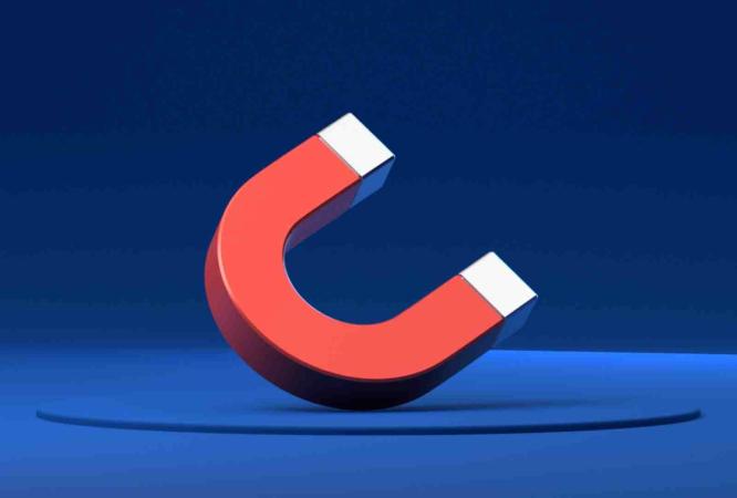 lead magnet