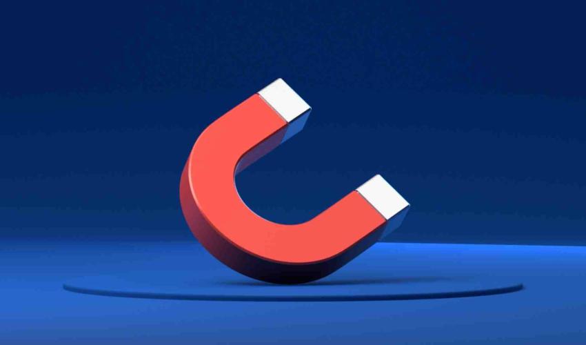 lead magnet