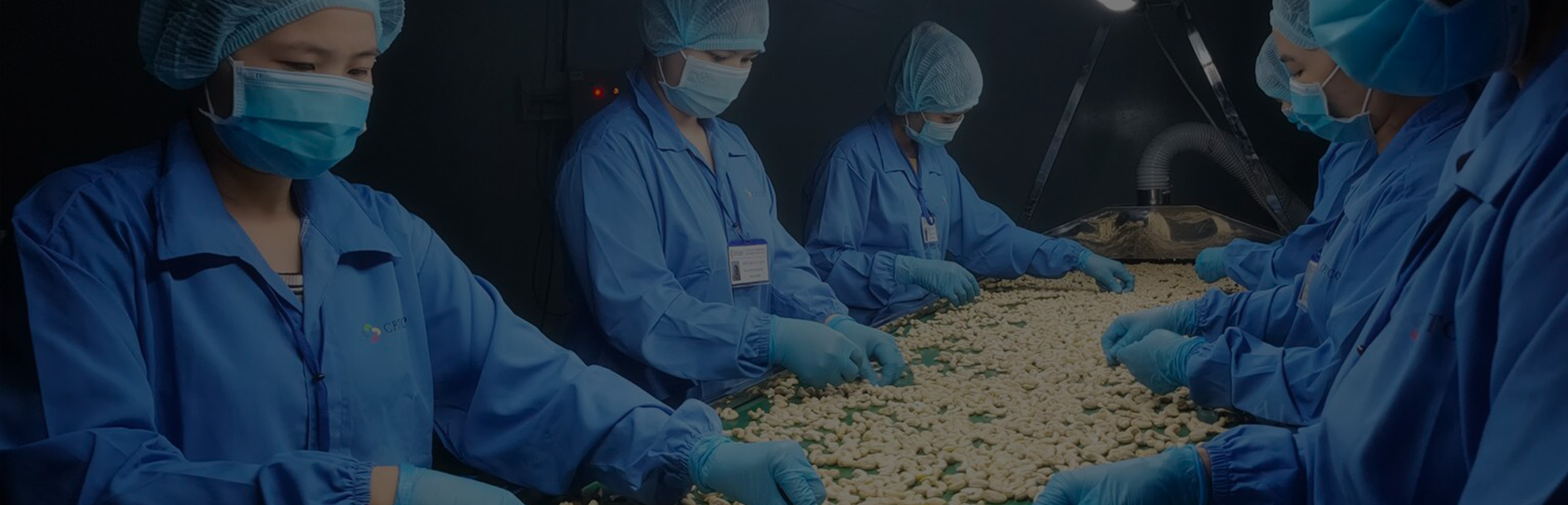 Modern organic food processing facility with international quality standards