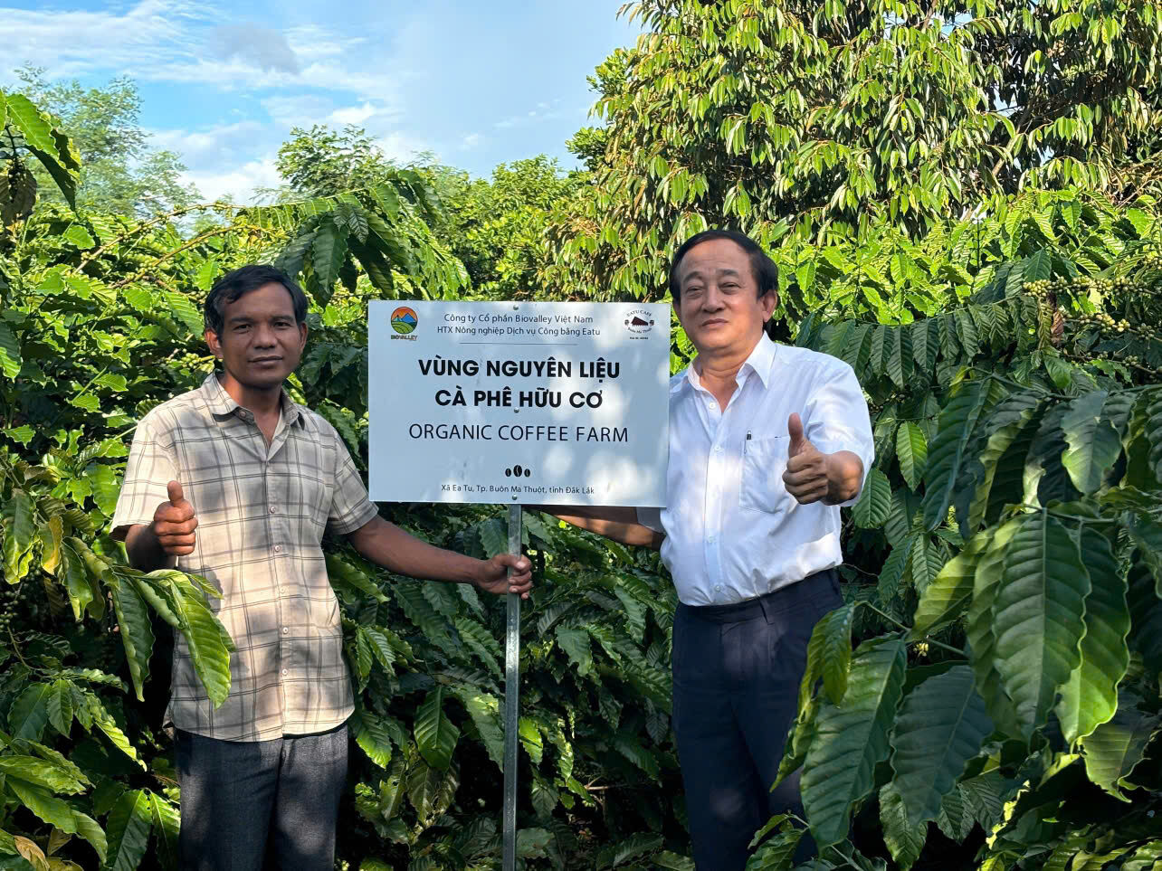 Organic coffee farm from Vietnam from BioValley