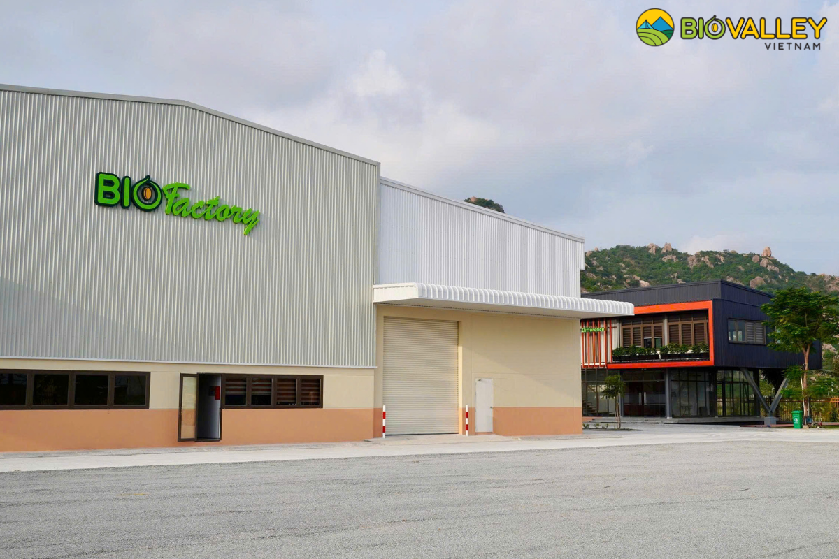 organic cashew factory from Vietnam Biovalley