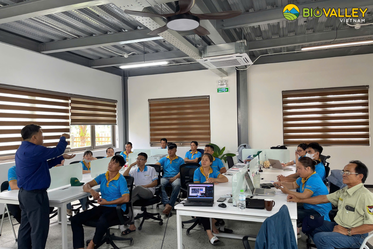 organic cashew products from Vietnam Biovalley certified agriculture products