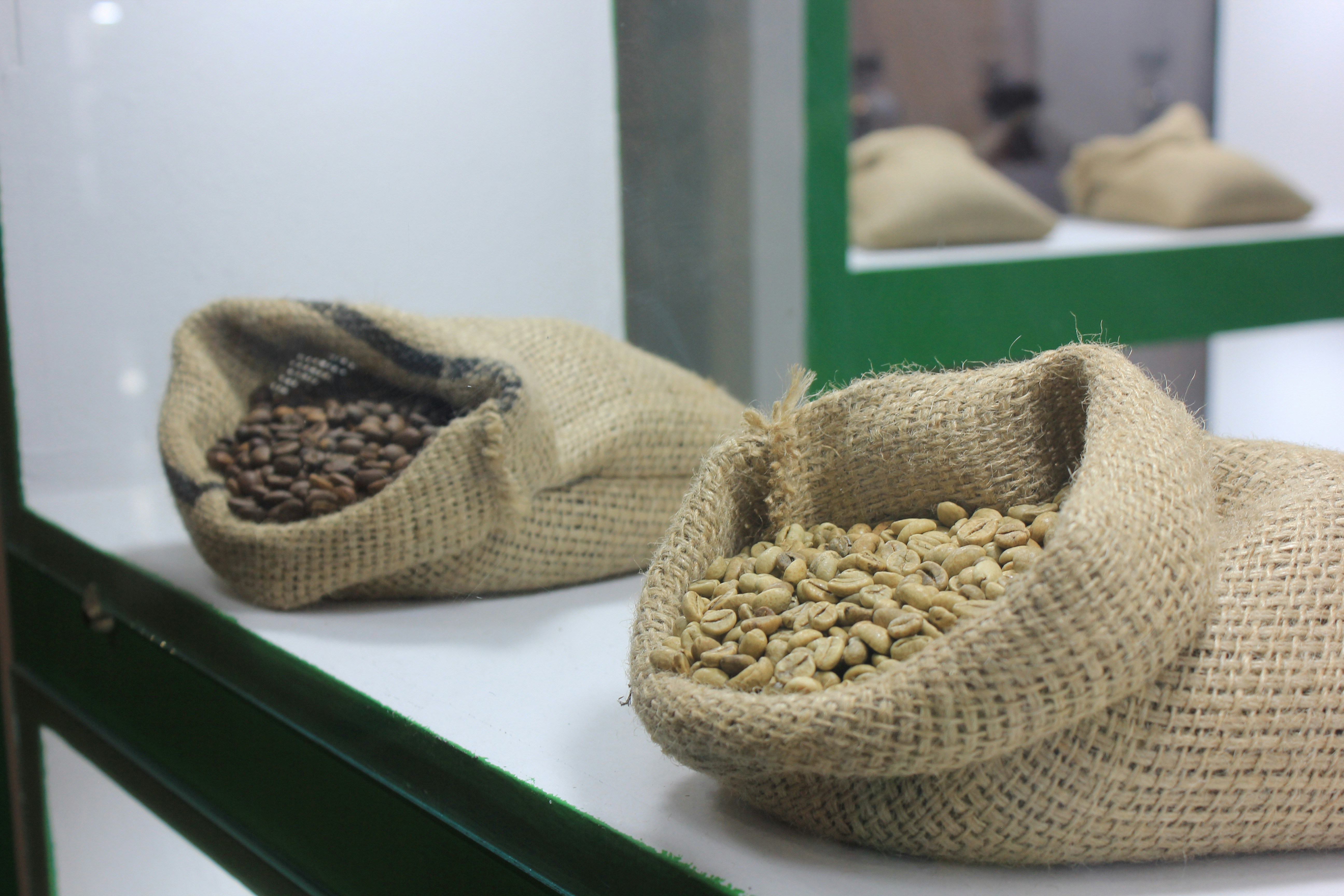 green bean and roasted coffee bean organic EUDR new regulations to EU from Vietnam traceability