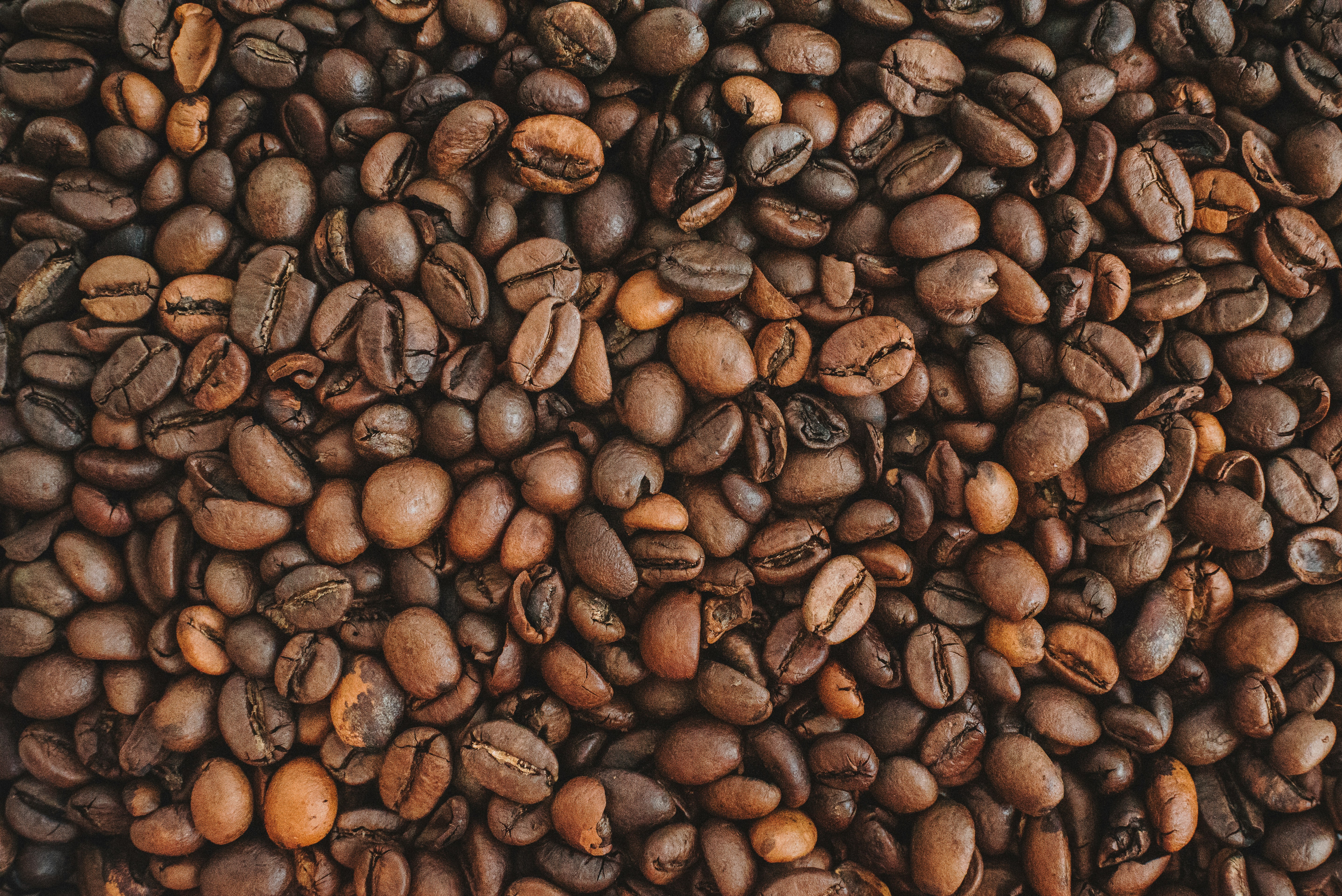 roasted Coffee beans EUDR new regulations to EU from Vietnam traceability