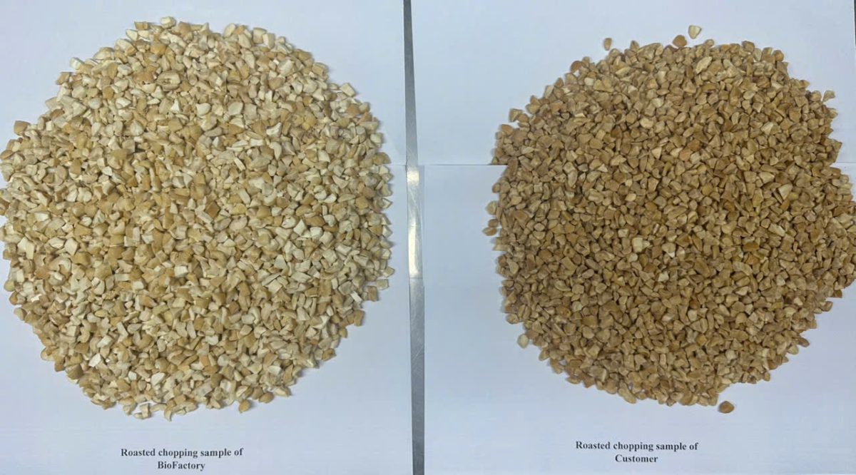 biovalley-biofactory-cashew-pieces-chopped-cashew-processing.jpg