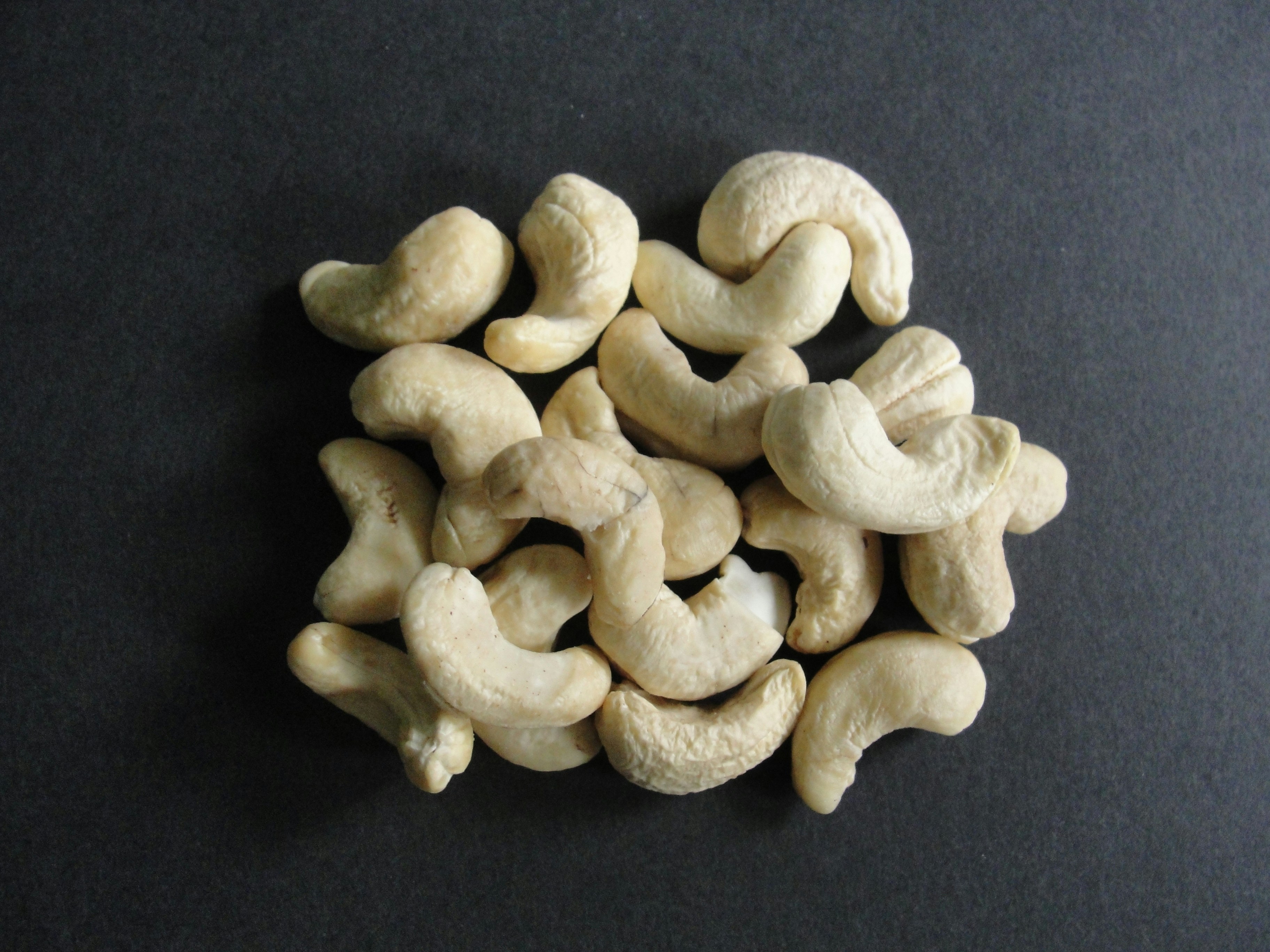 Organic W320 cashew kernel sample from BioValley Vietnam