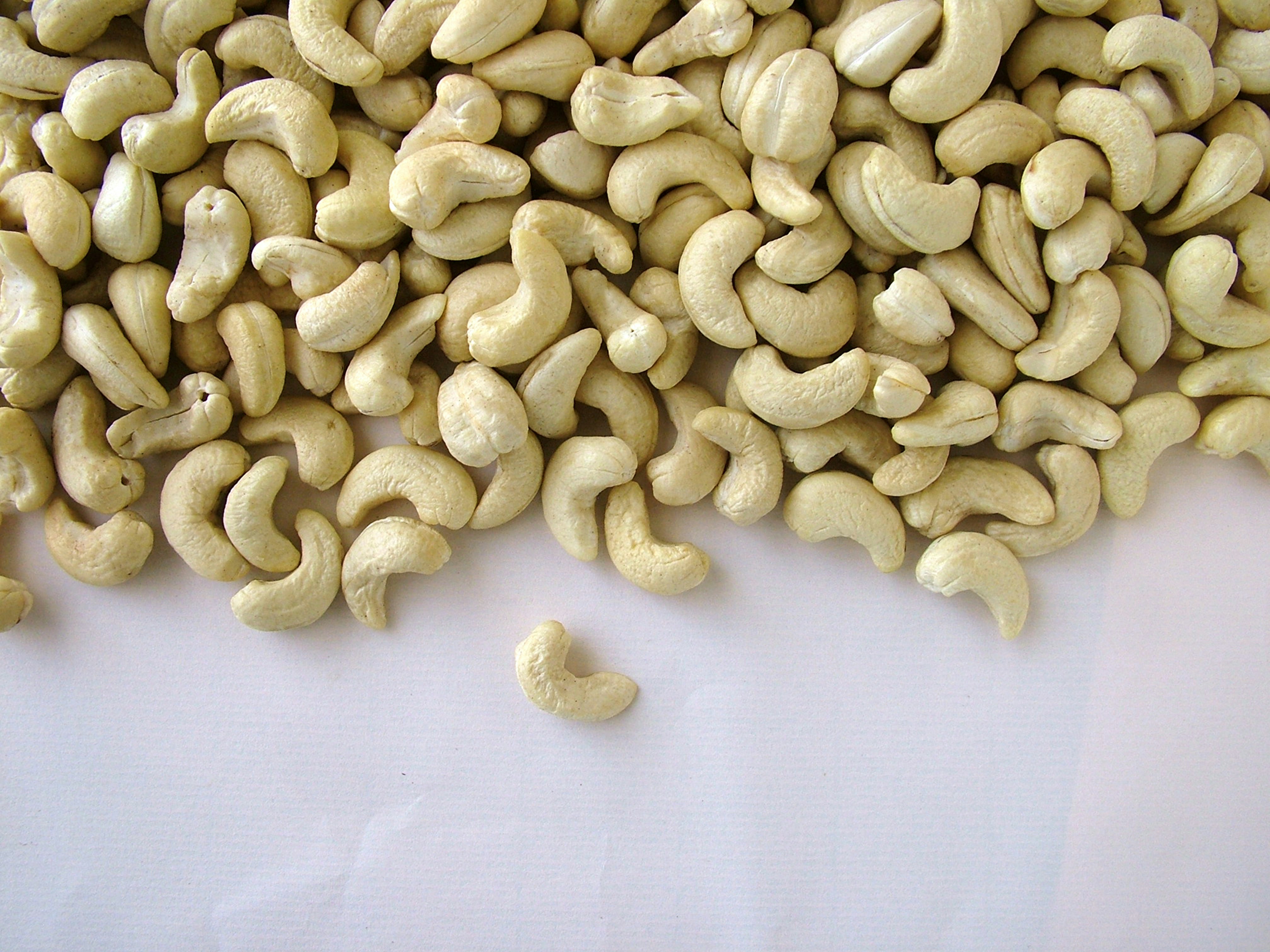 organic W320 cashew specifications