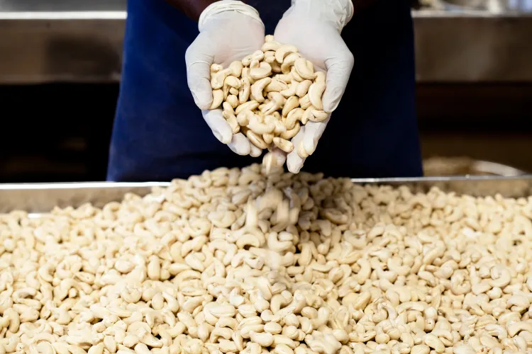 How to Store Cashew Nuts: Keep Them Fresh for Longer