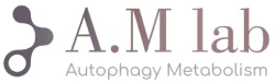 logo amlab