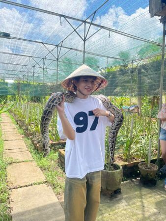 7 Days Charming The Southern Vietnam Adventure