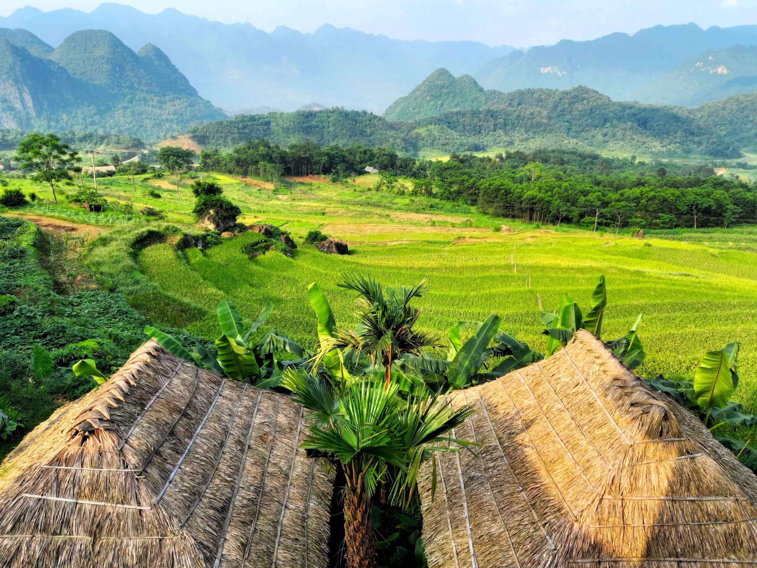Cultural & Nature Escape: Ha Long, Ninh Binh, Mai Chau & Pu Luong in 5 Days