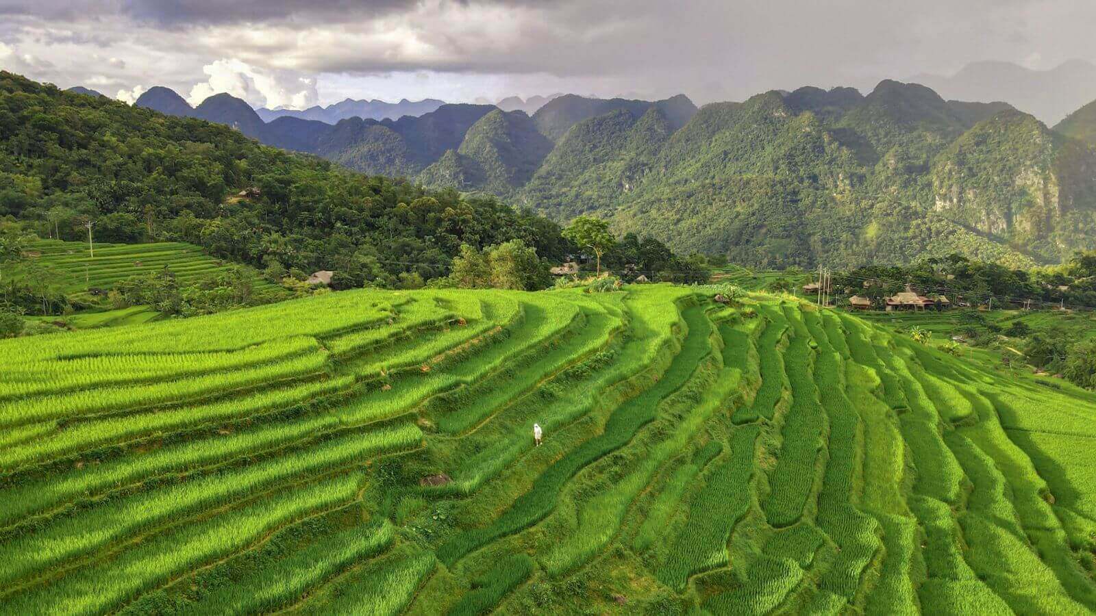 Cultural & Nature Escape: Ha Long, Ninh Binh, Mai Chau & Pu Luong in 5 Days