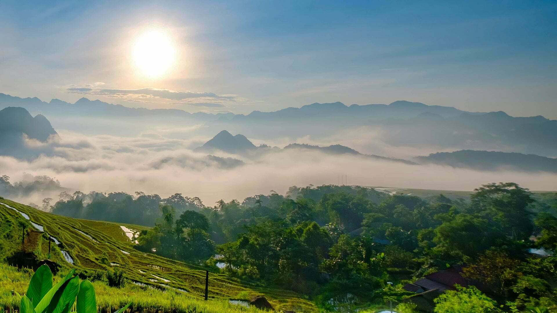 Best Things to Do in Vietnam