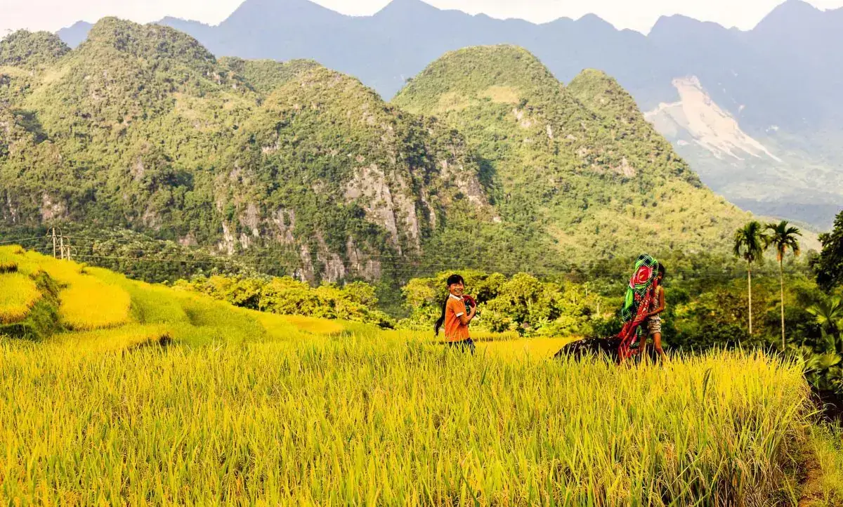 Vietnam & Thailand: Deluxe Adventure in 14 Days