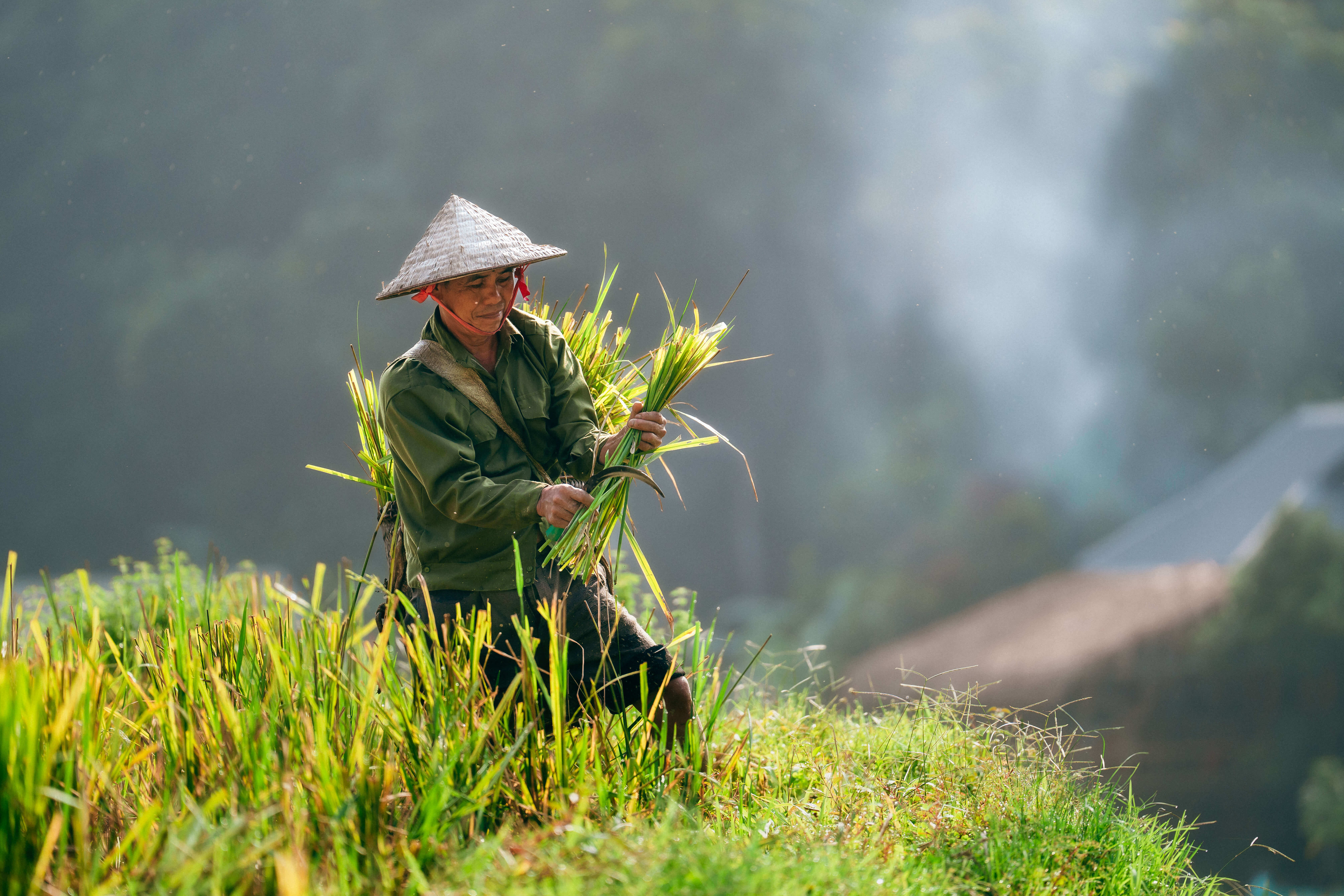 Vietnam & Thailand: Deluxe Adventure in 14 Days