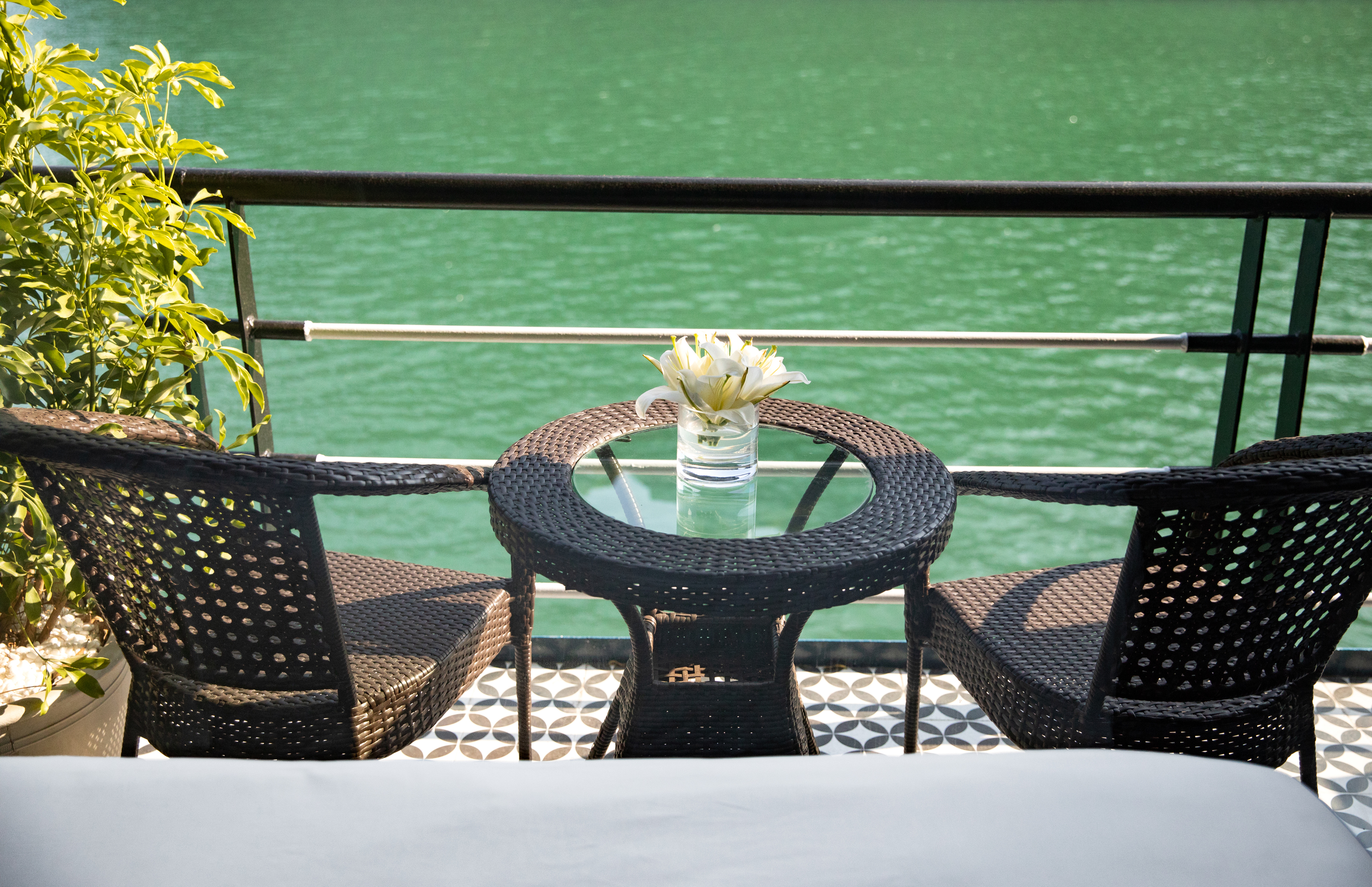 2D1N/ 3D2N On Rosy Cruise 5 Stars