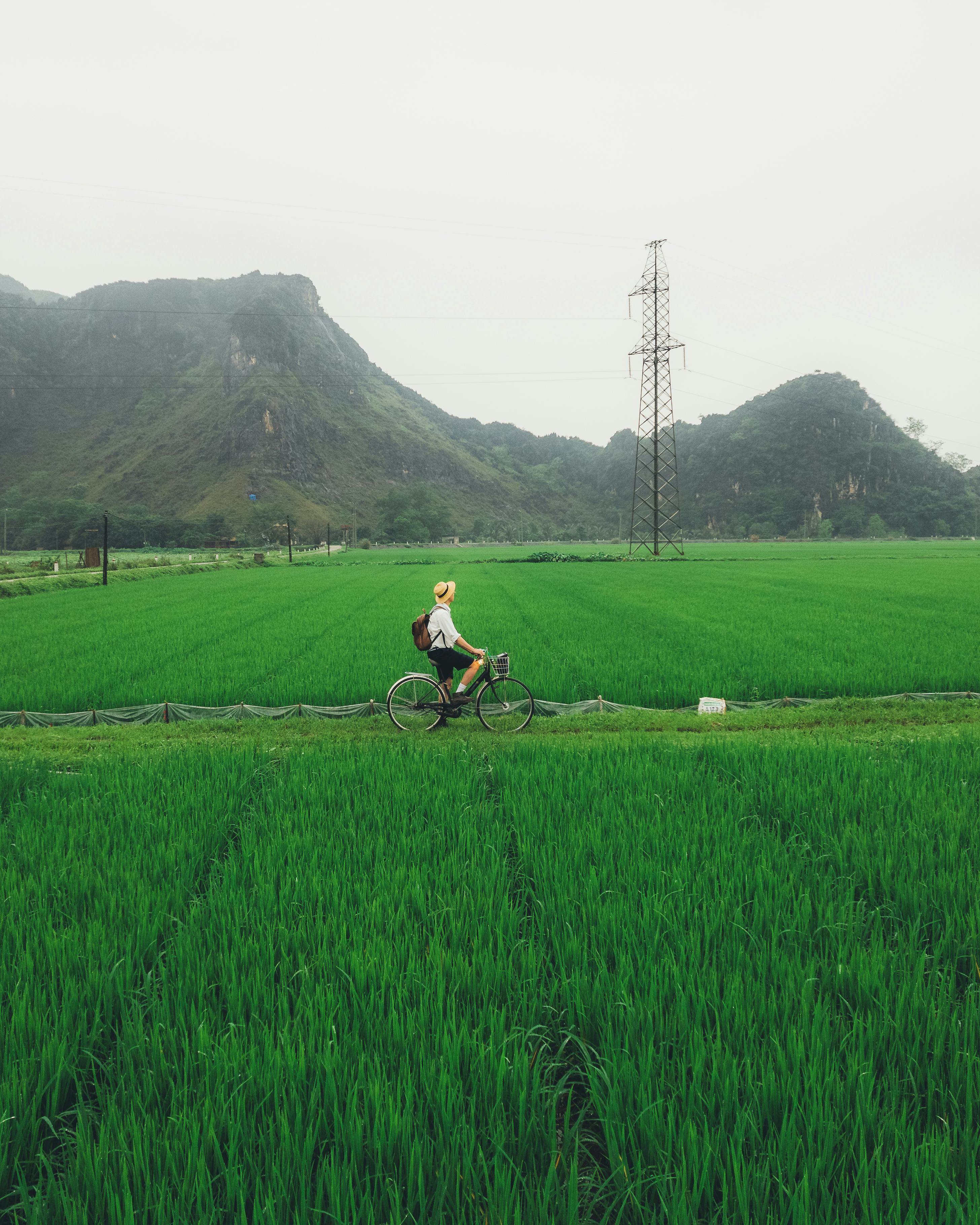 From Hanoi: Private Ninh Binh Escape – Van Long Reserve, Hidden Cycling & Artisan Village (Pick-up & Drop-off in Hanoi or Ninh Binh)
