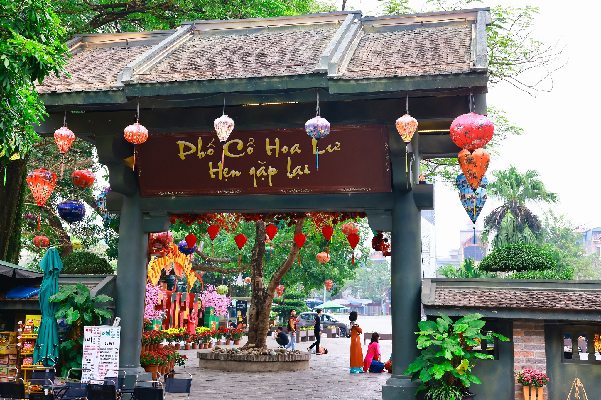 From Hanoi: 2-Day Private Ninh Binh Escape – Nature, Craft & Village Life