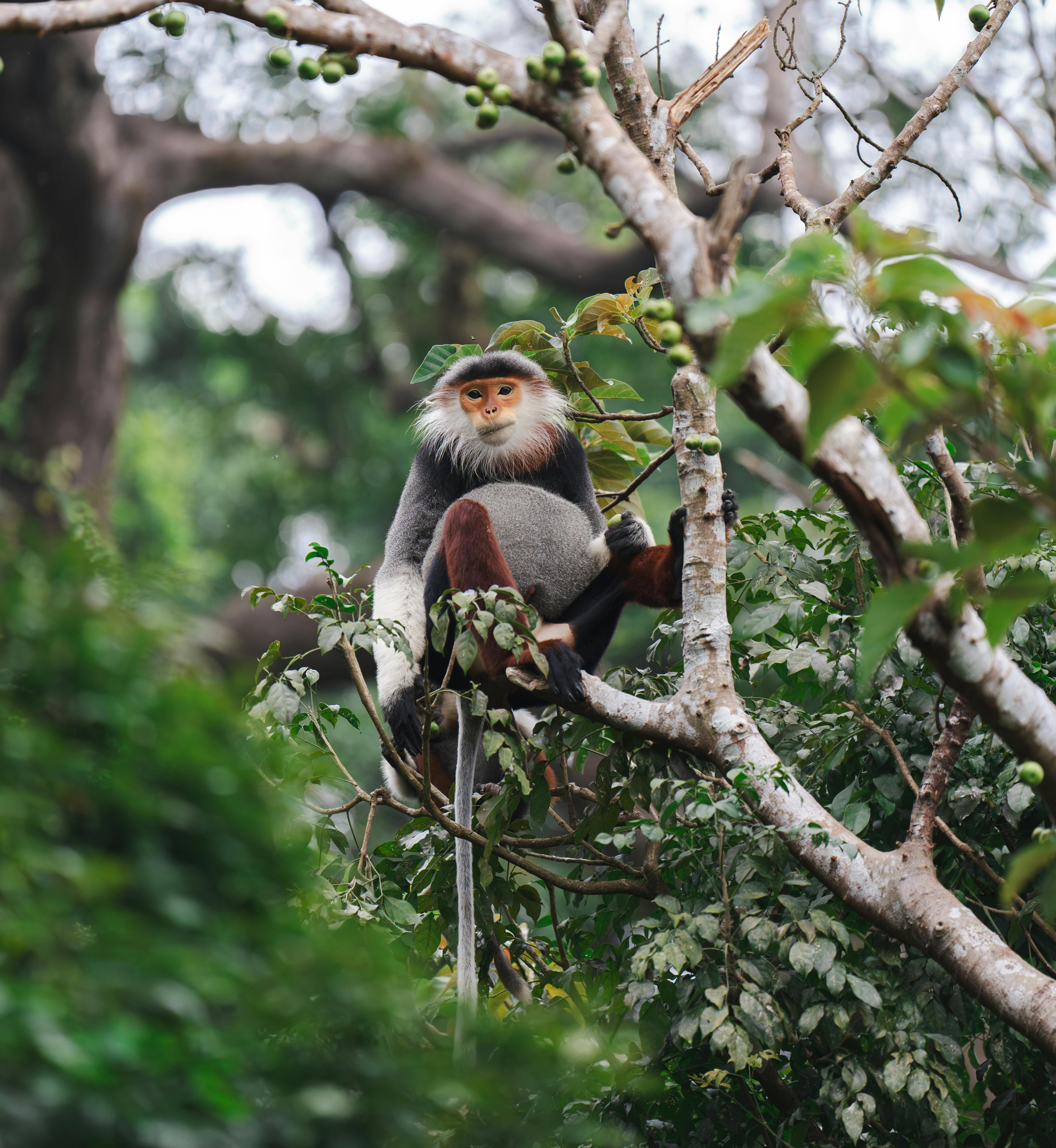 Ninh Binh Without the Crowds: Private Slow Travel Tours for European Visitors [Azotar Travel]