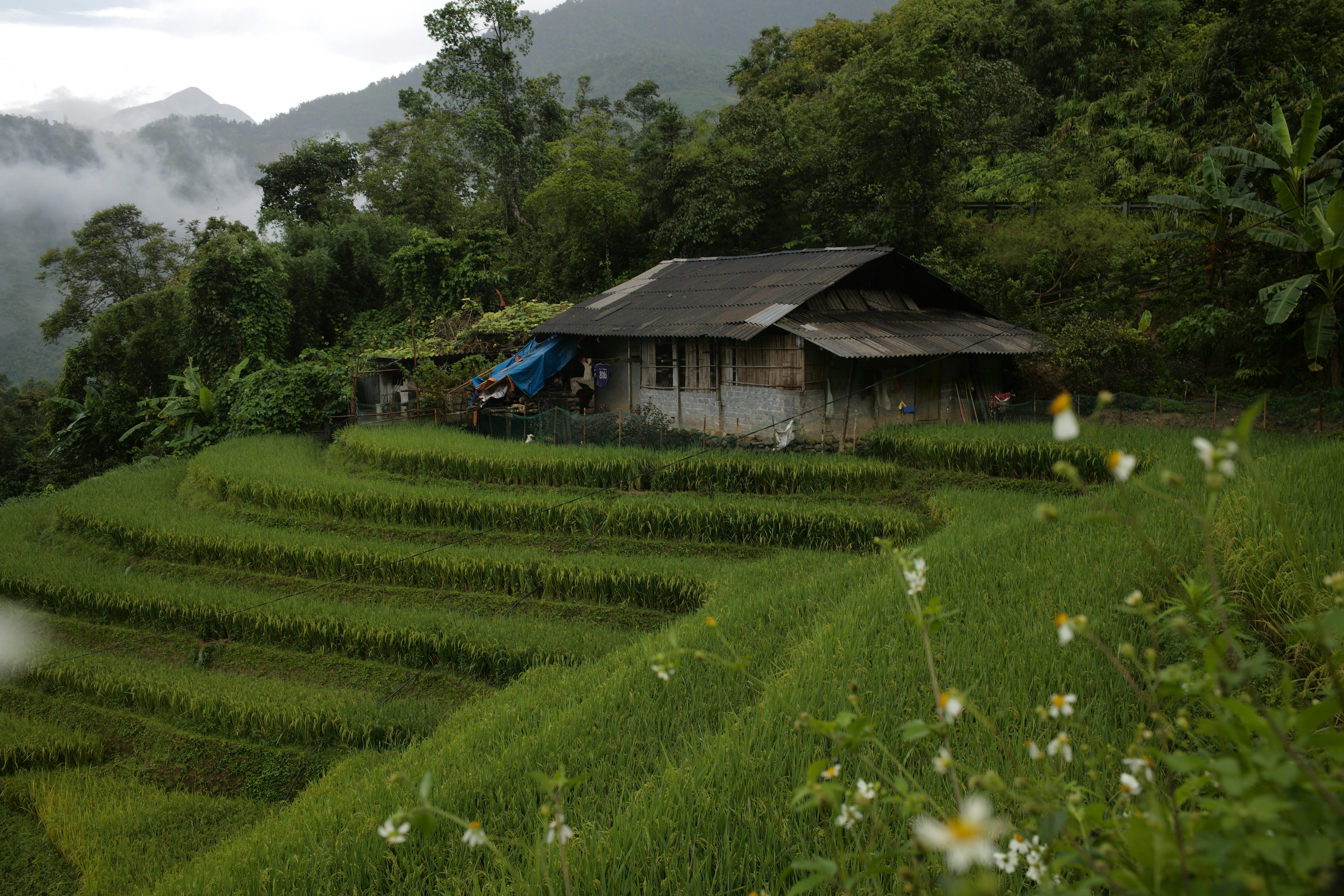 Sapa in the Rain: Is It Still Worth Visiting? An Honest Guide for European & Australian Travellers [Azotar Travel]