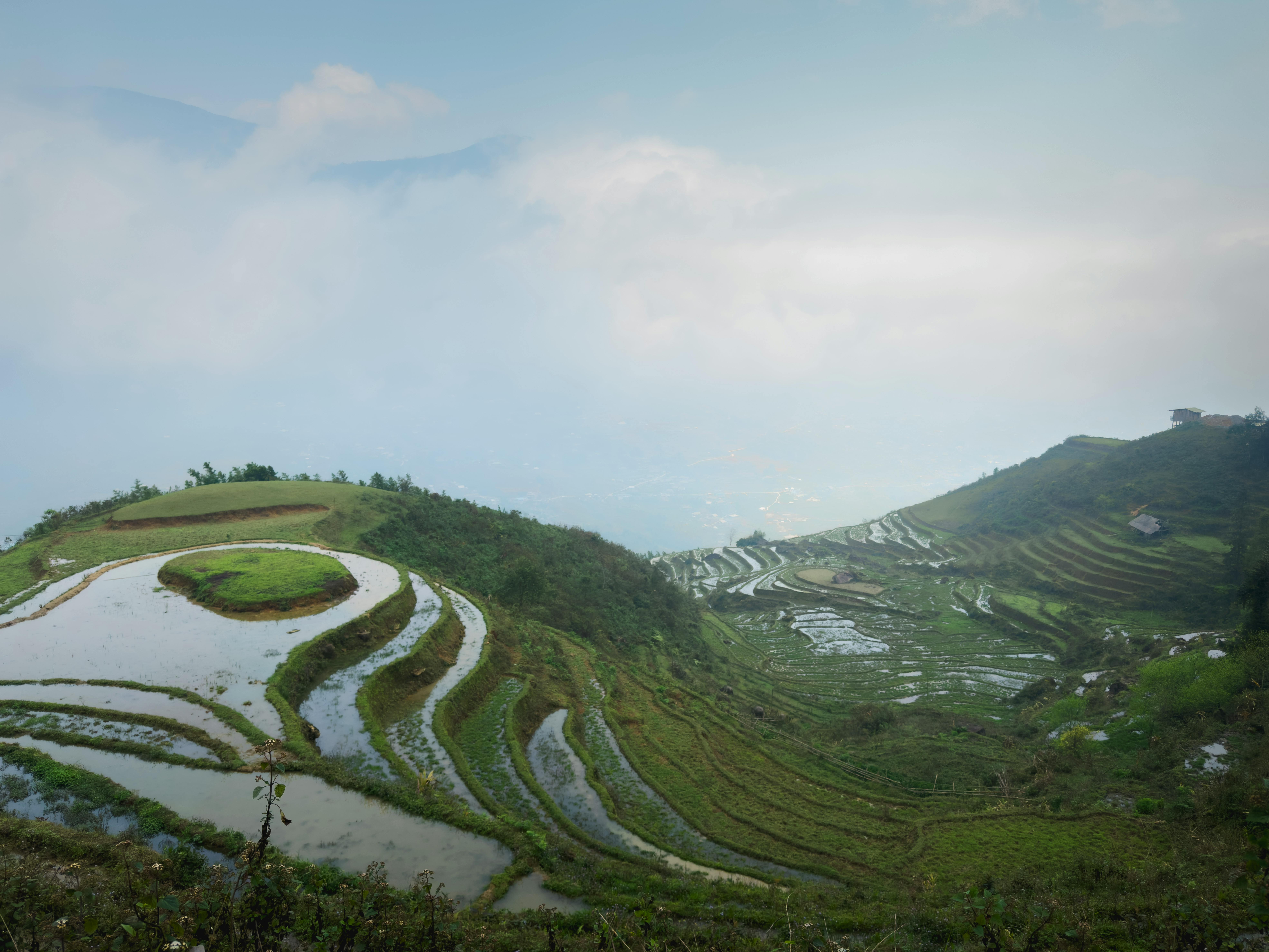 Sapa rice terraces rain green