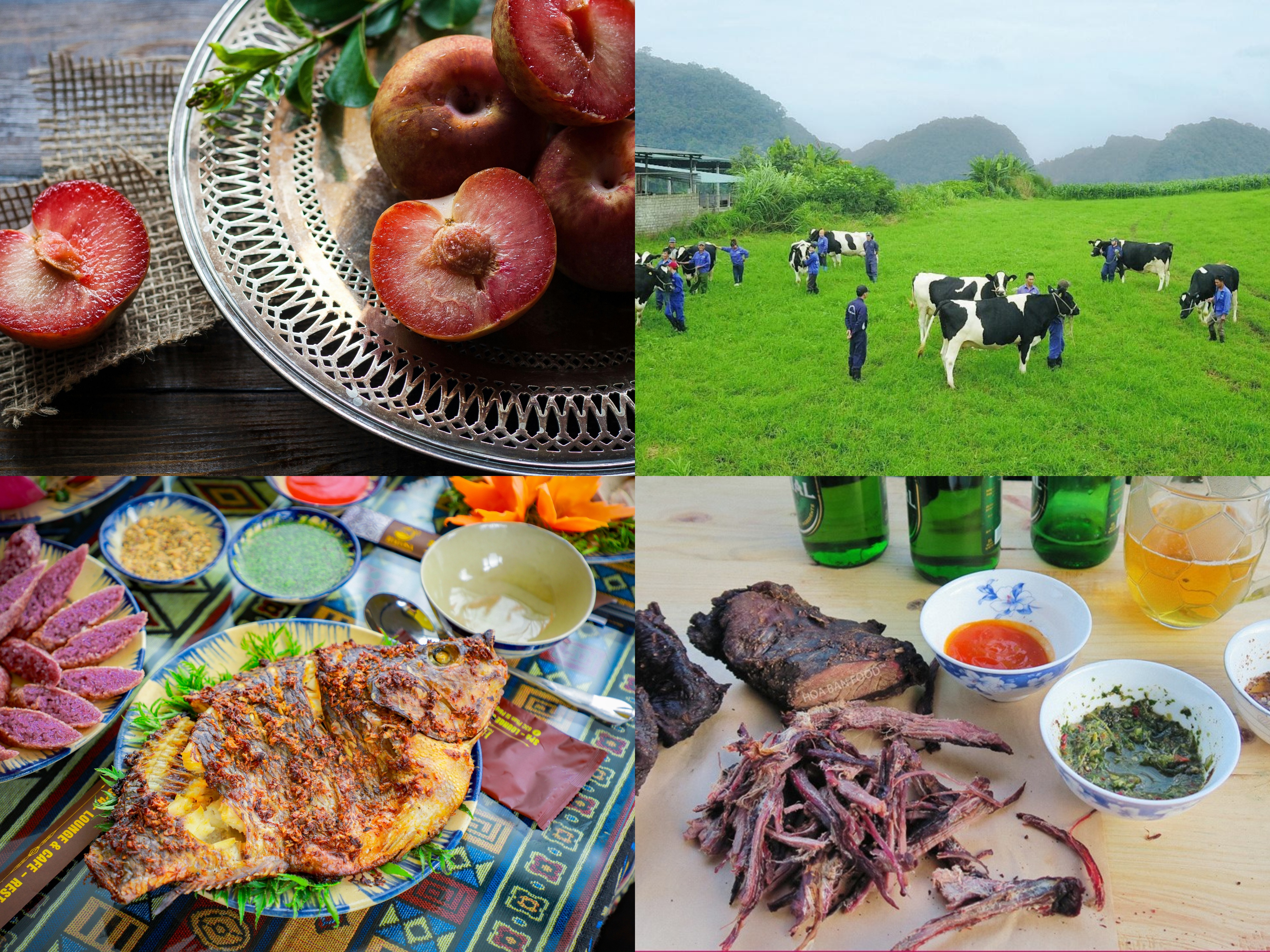 Sapa cooking class local home rain
