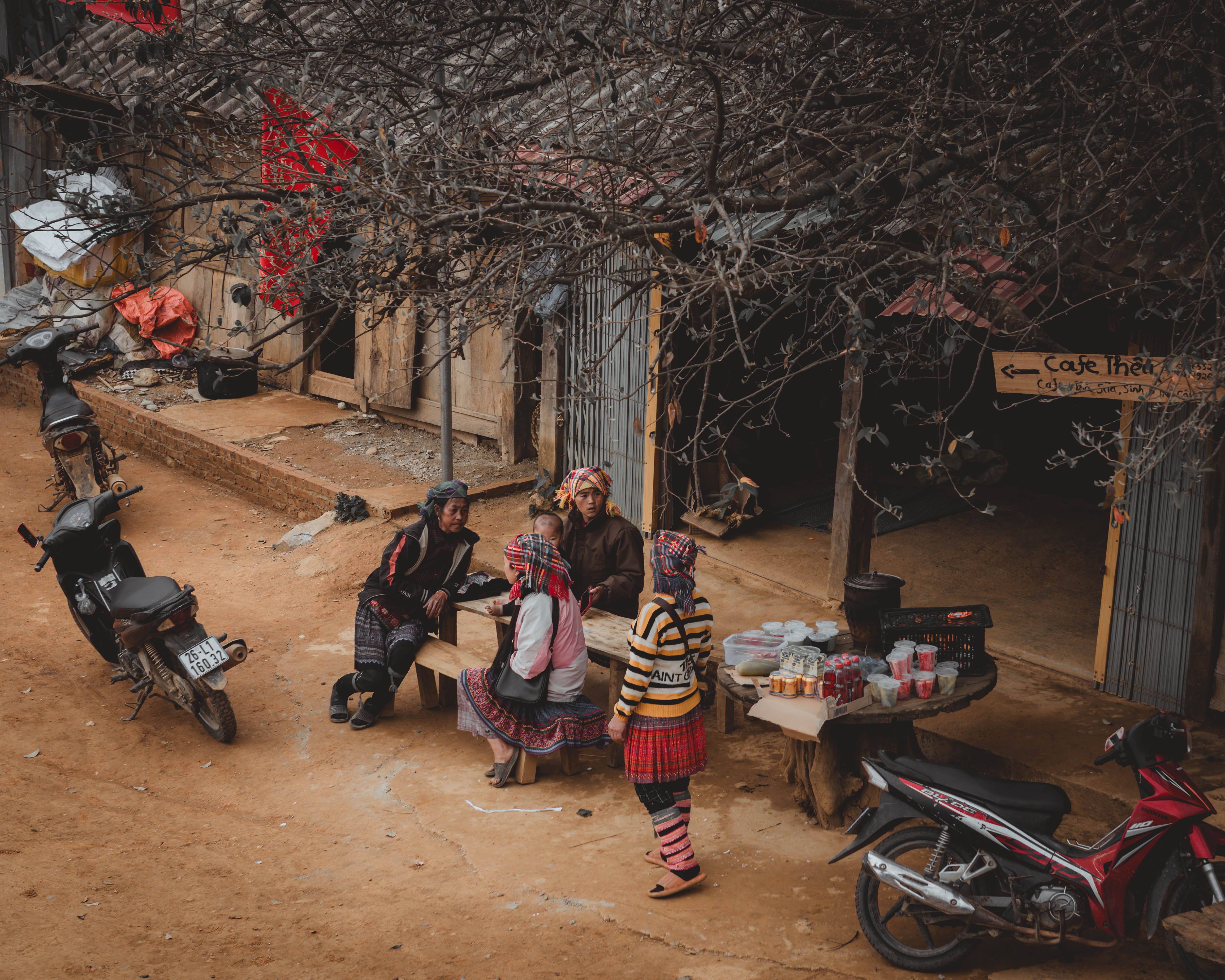 Vietnam in Winter: Where to Go, Where to Avoid, and What to Expect [Azotar Travel]