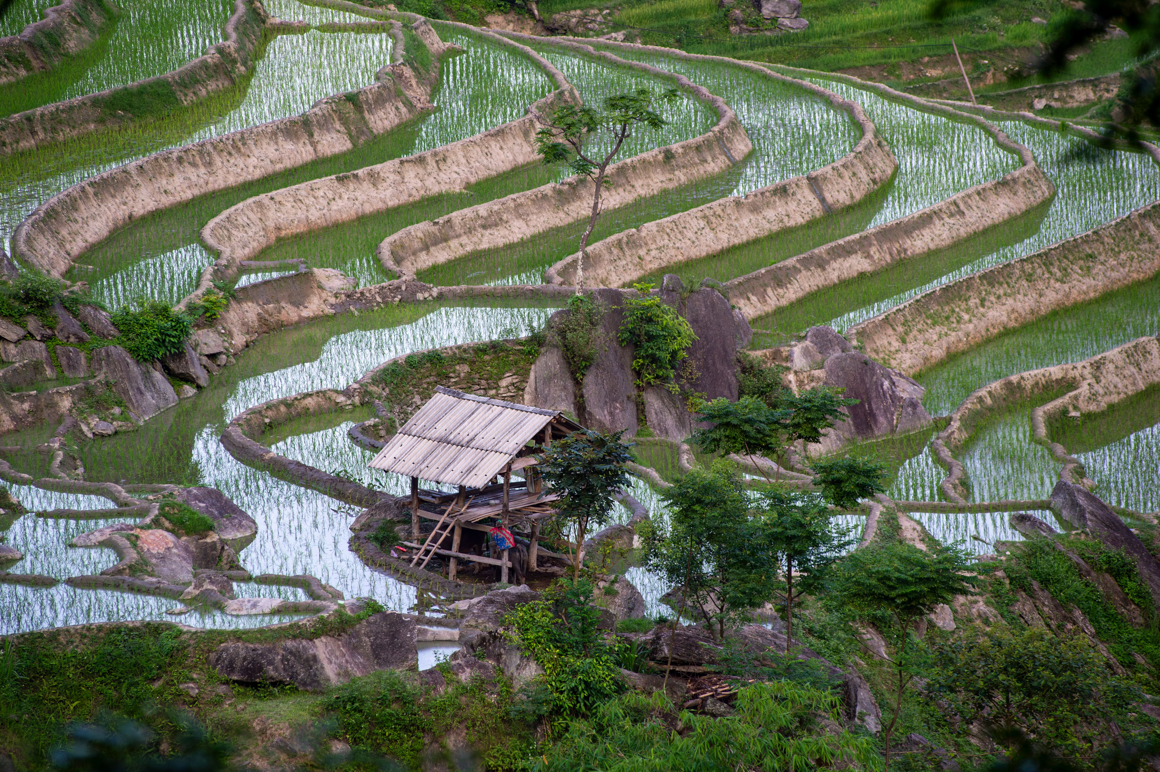 5-Day Ha Giang Loop Private Tour – Dong Van, Ma Pi Leng Pass & Du Gia