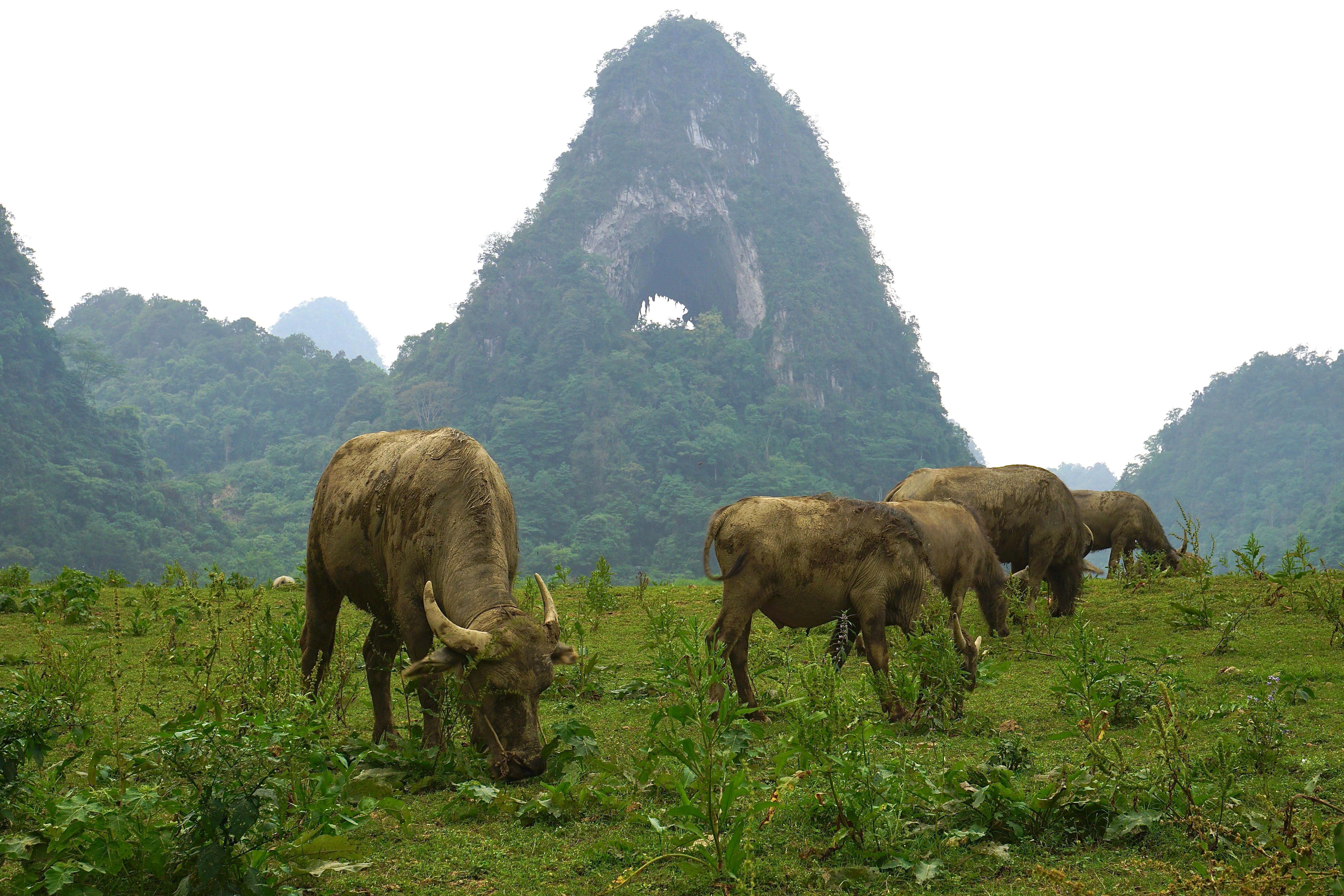 Cao Bang 2 Days 1 Night Tour: Local Life, Traditional Crafts & Hidden Valleys