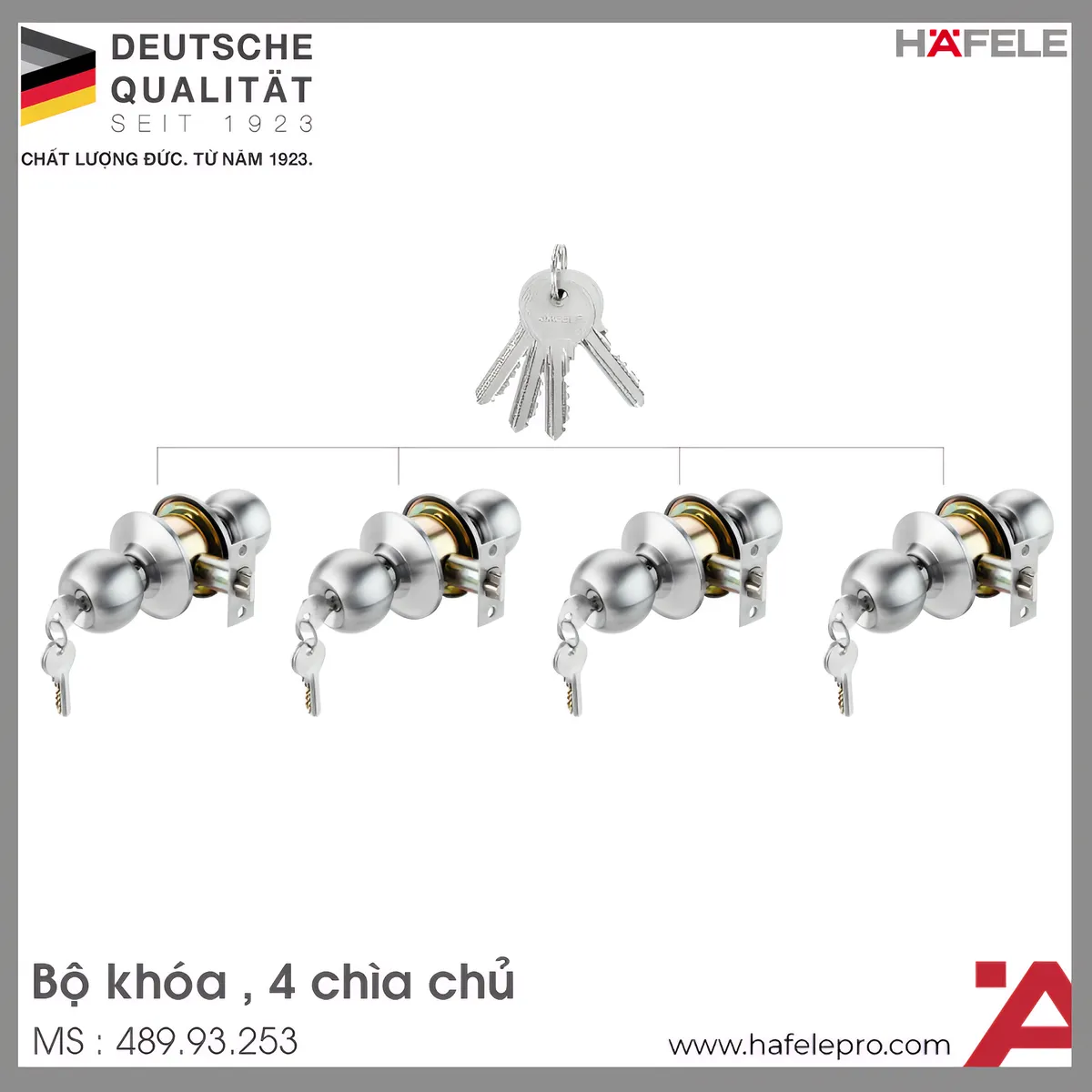Bộ Khóa 4 Ổ Khóa Tròn Và Chìa Chủ Hafele 489.93.253