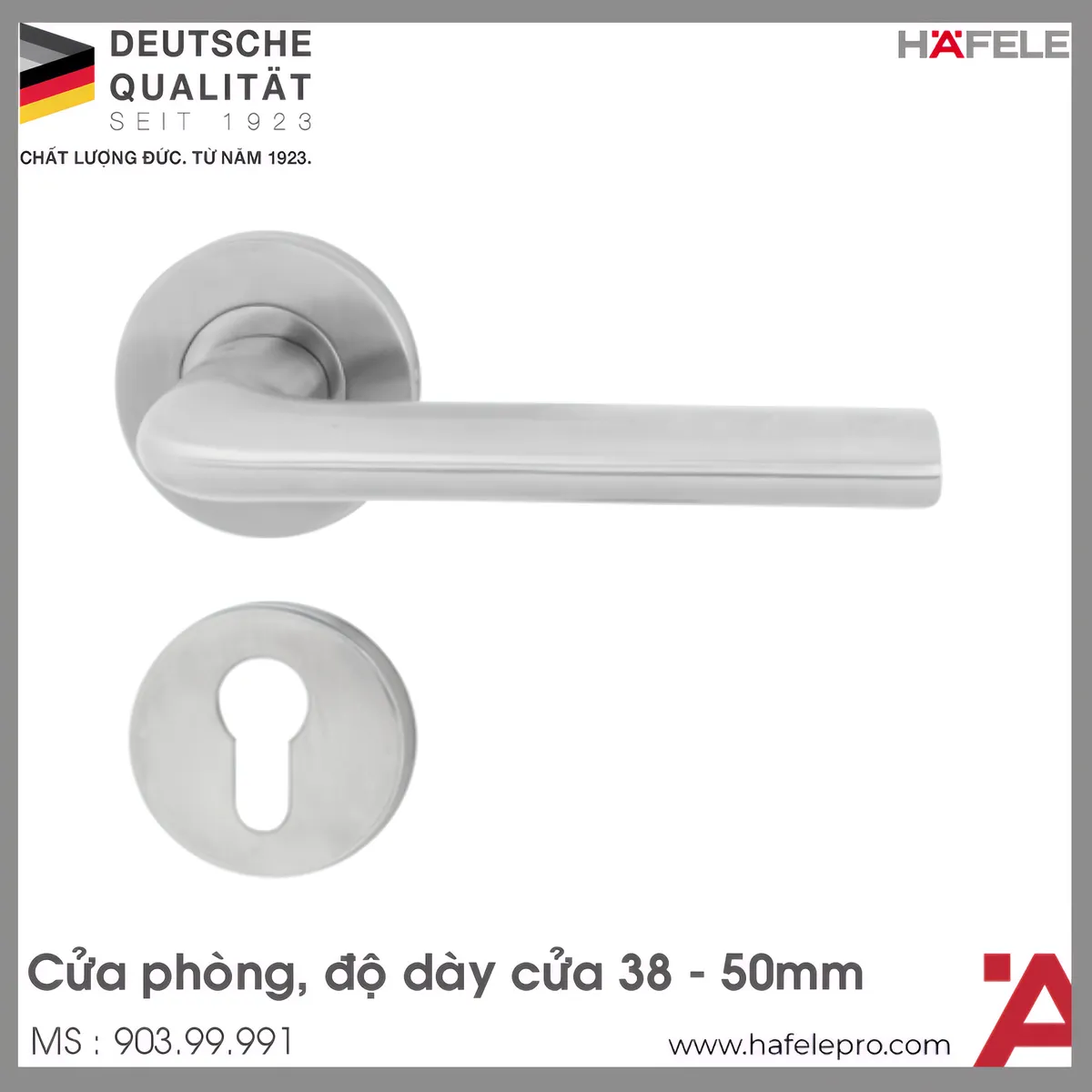 Tay Nắm Gạt Có Nắp Che Cửa Phòng Hafele 903.99.991