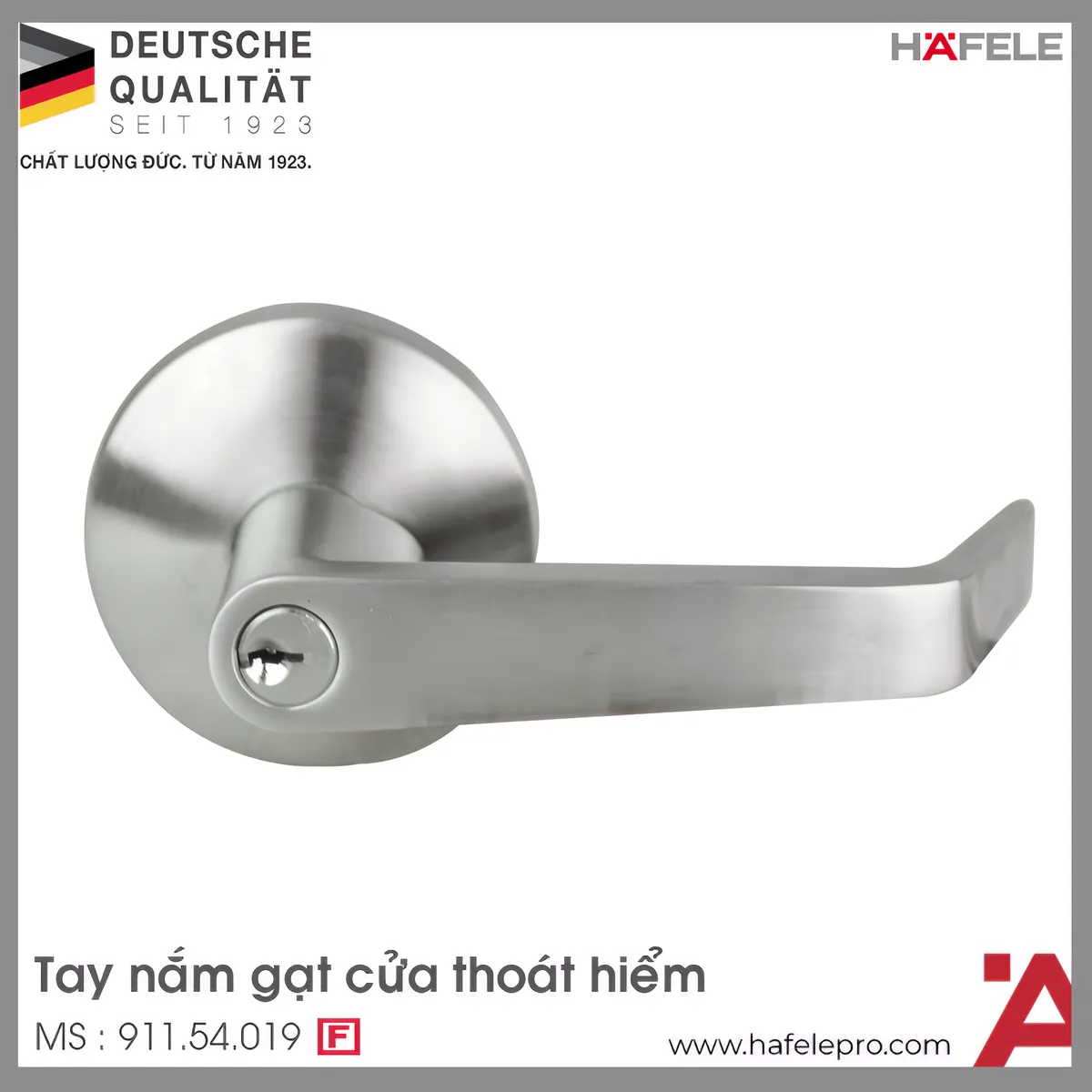 Tay Nắm Gạt Với Nắp Che Hafele 911.54.019