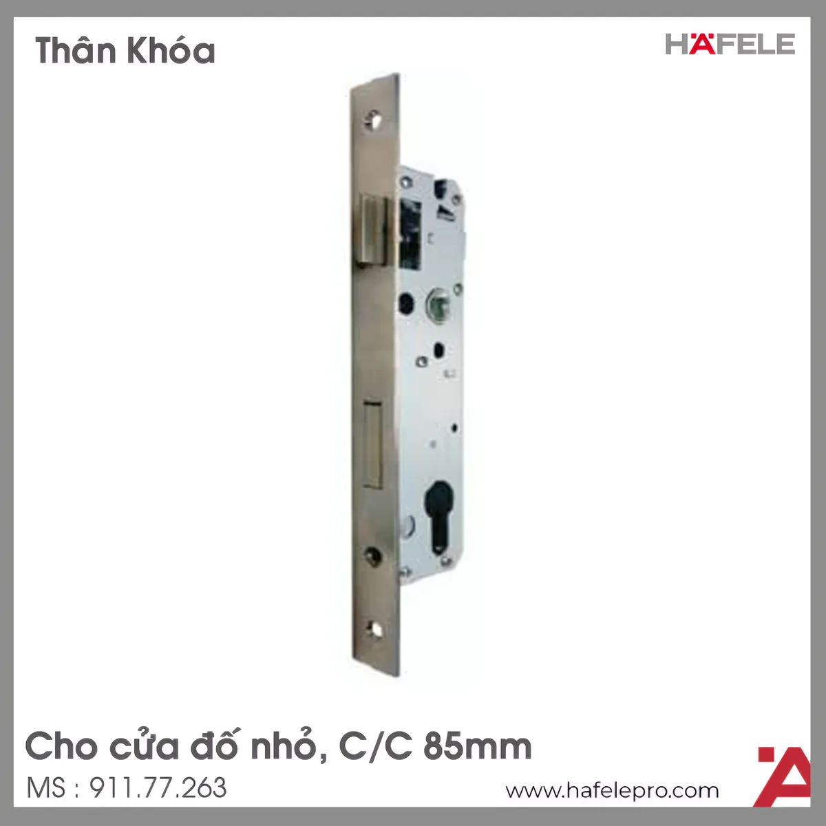 Thân Khóa Lưỡi Gà Chốt Chết Cửa Đố Nhỏ Hafele 911.77.263